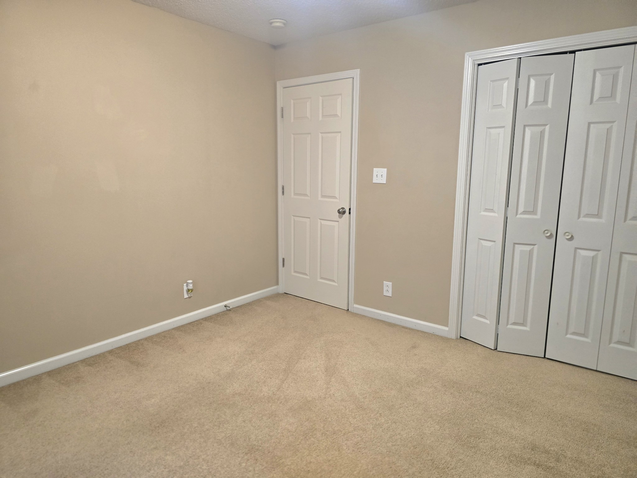 4413 Taylor Hall Ln Property Photo 53
