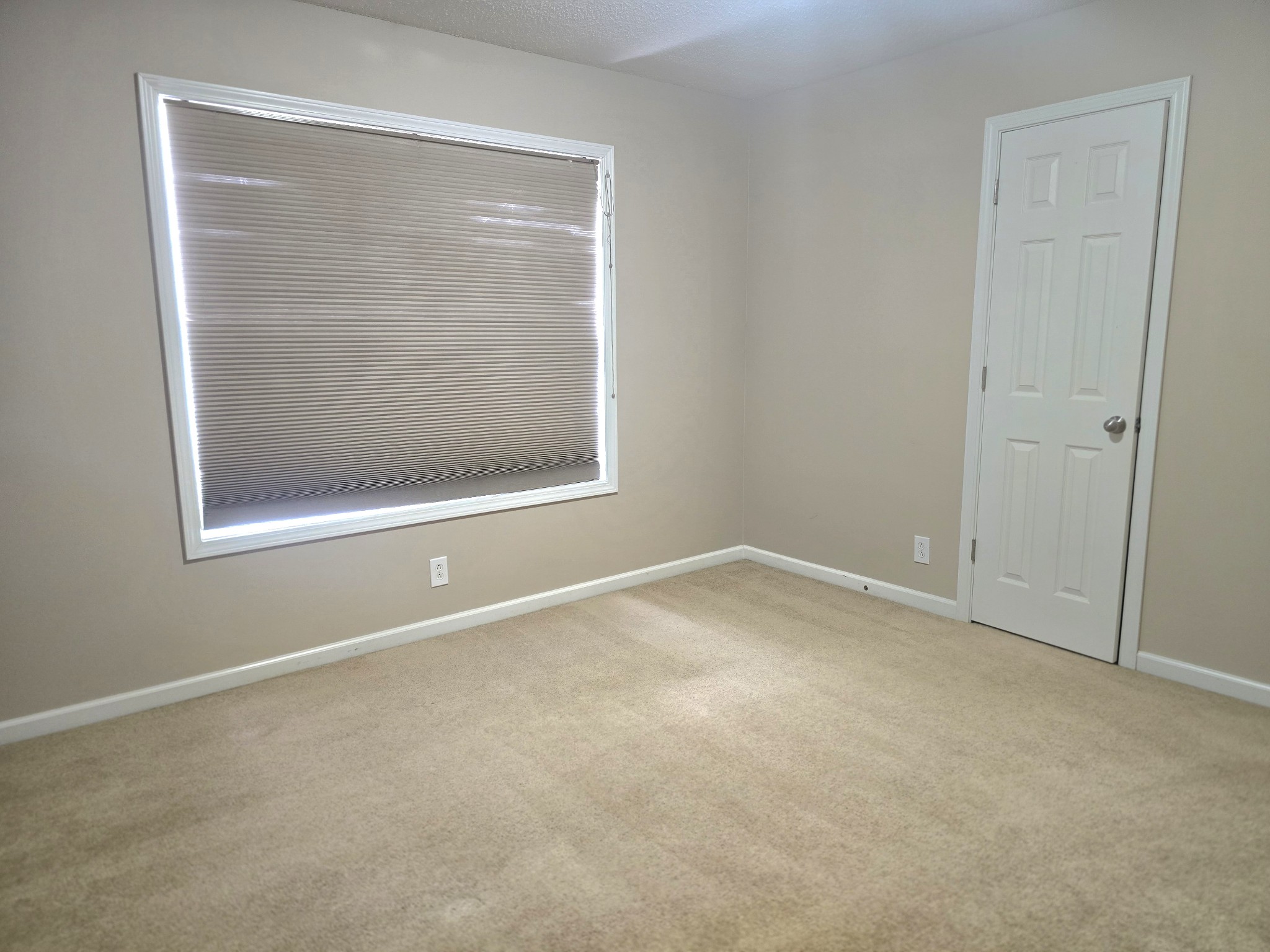 4413 Taylor Hall Ln Property Photo 54