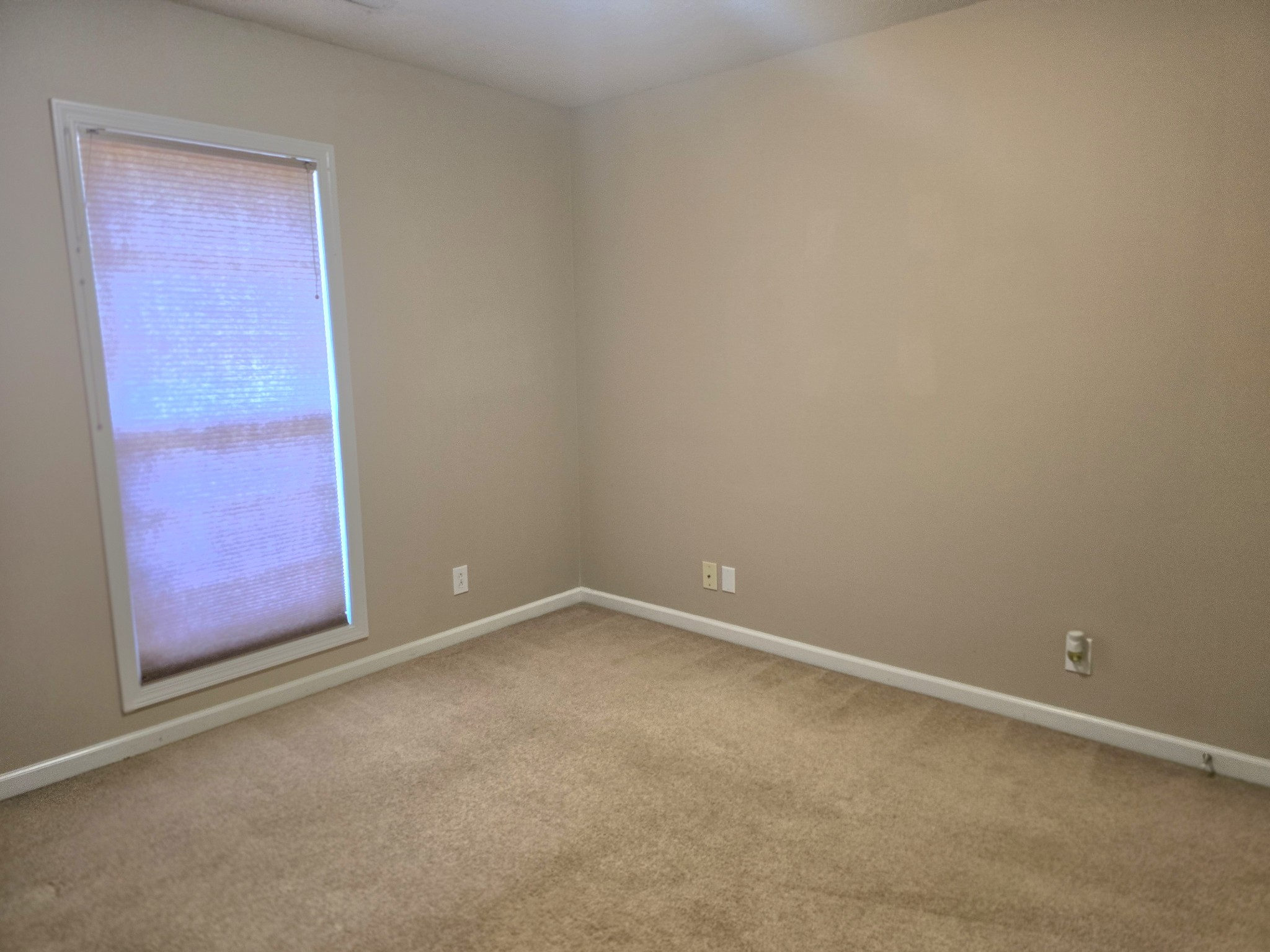 4413 Taylor Hall Ln Property Photo 55