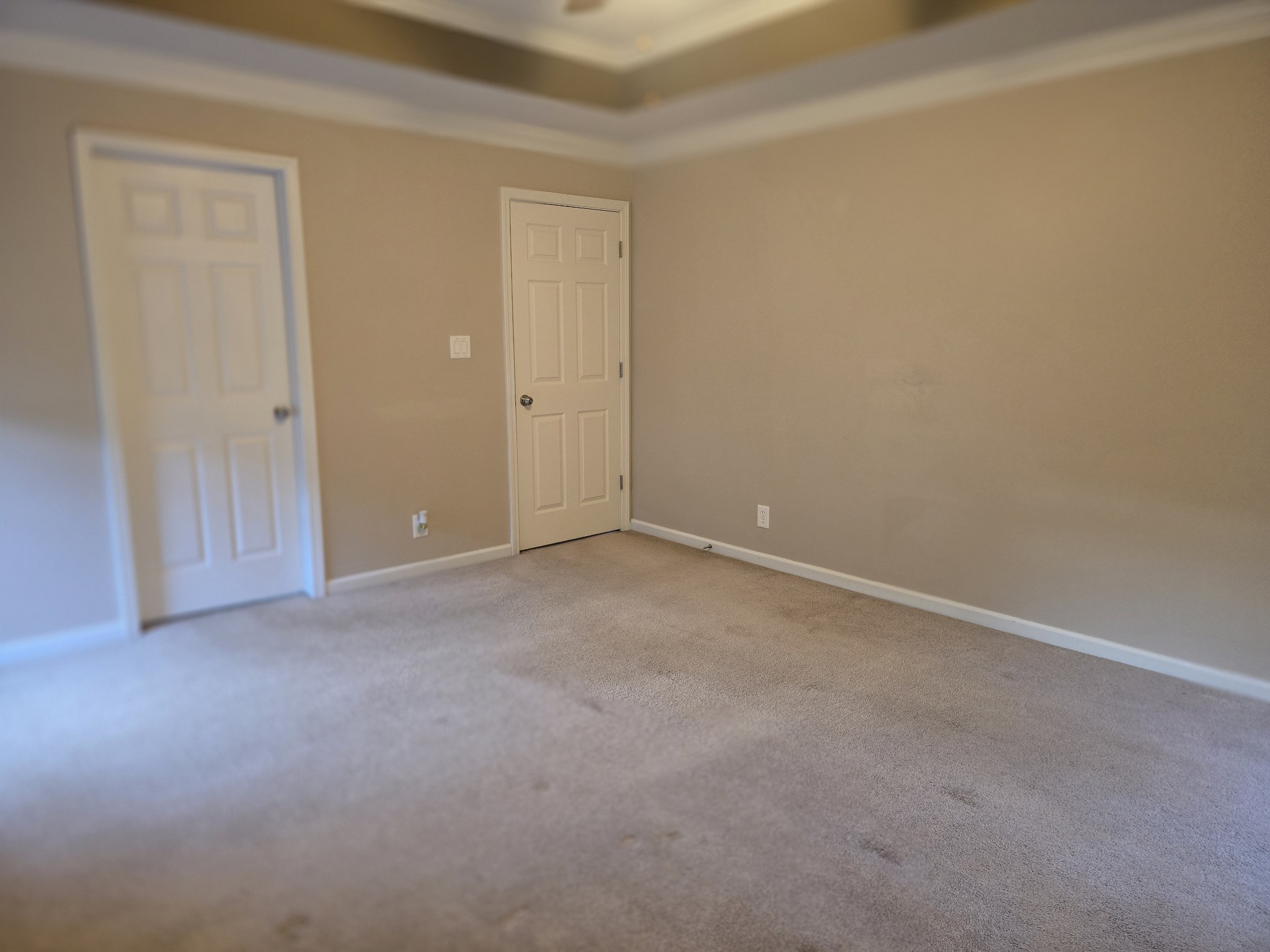 4413 Taylor Hall Ln Property Photo 62