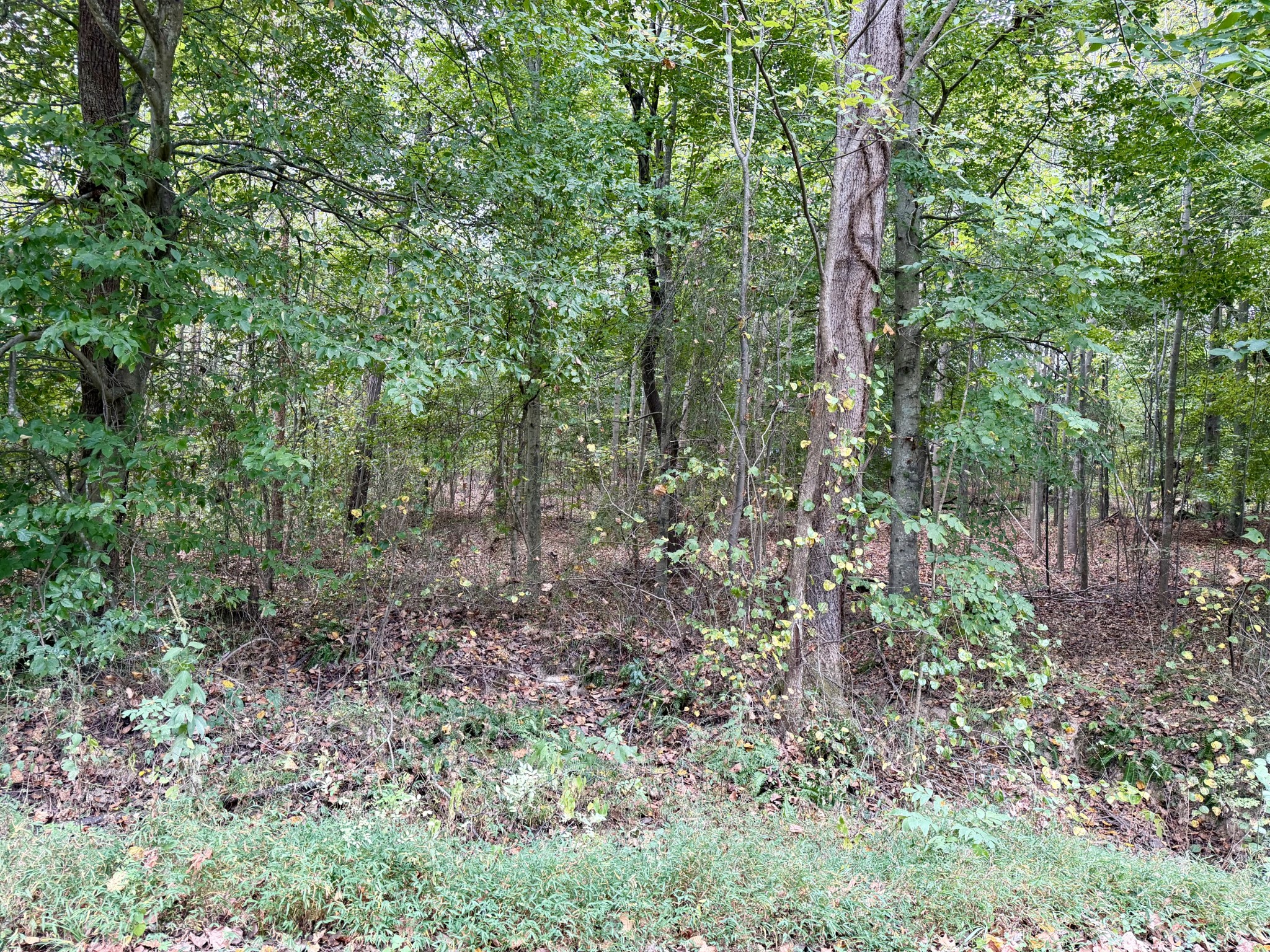0 Mcdonald Rd Property Photo 6