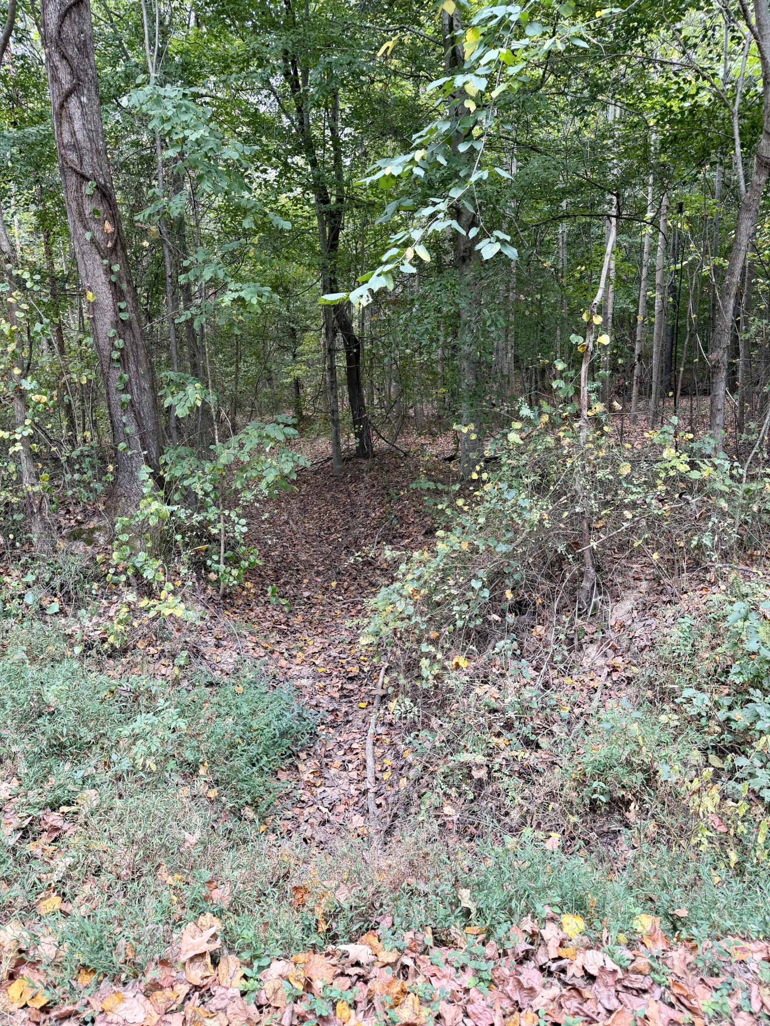 0 Mcdonald Rd Property Photo 7