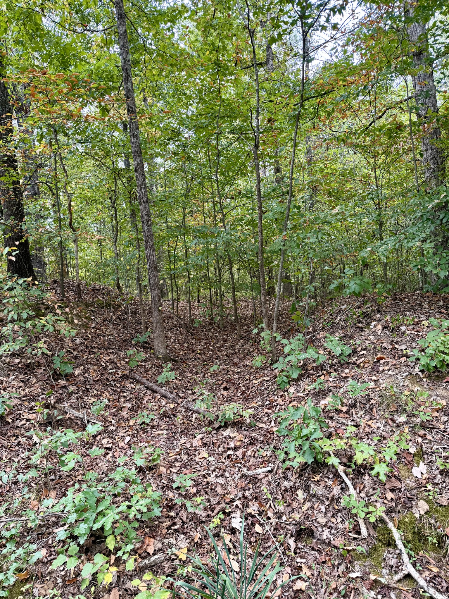 0 Mcdonald Rd Property Photo 13