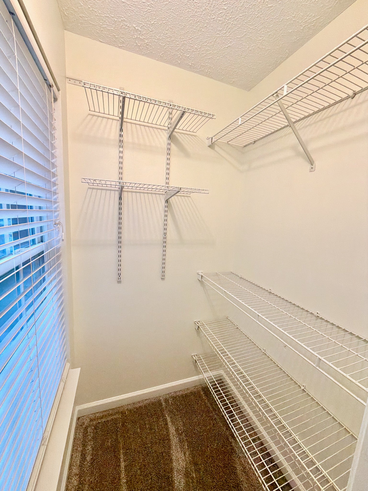4040 Hallborough Way Property Photo 34