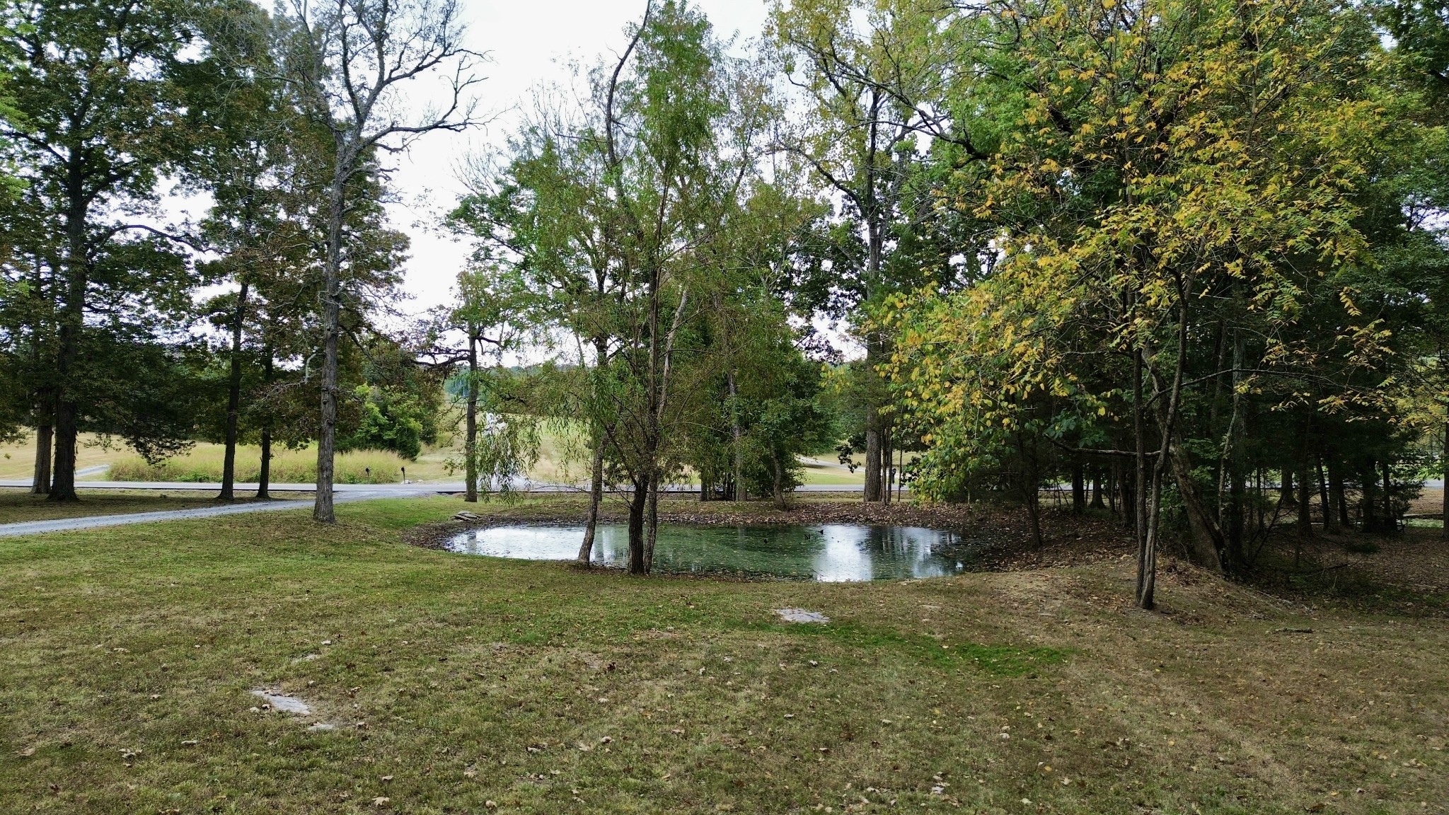 566 Ben Green Rd Property Photo 48