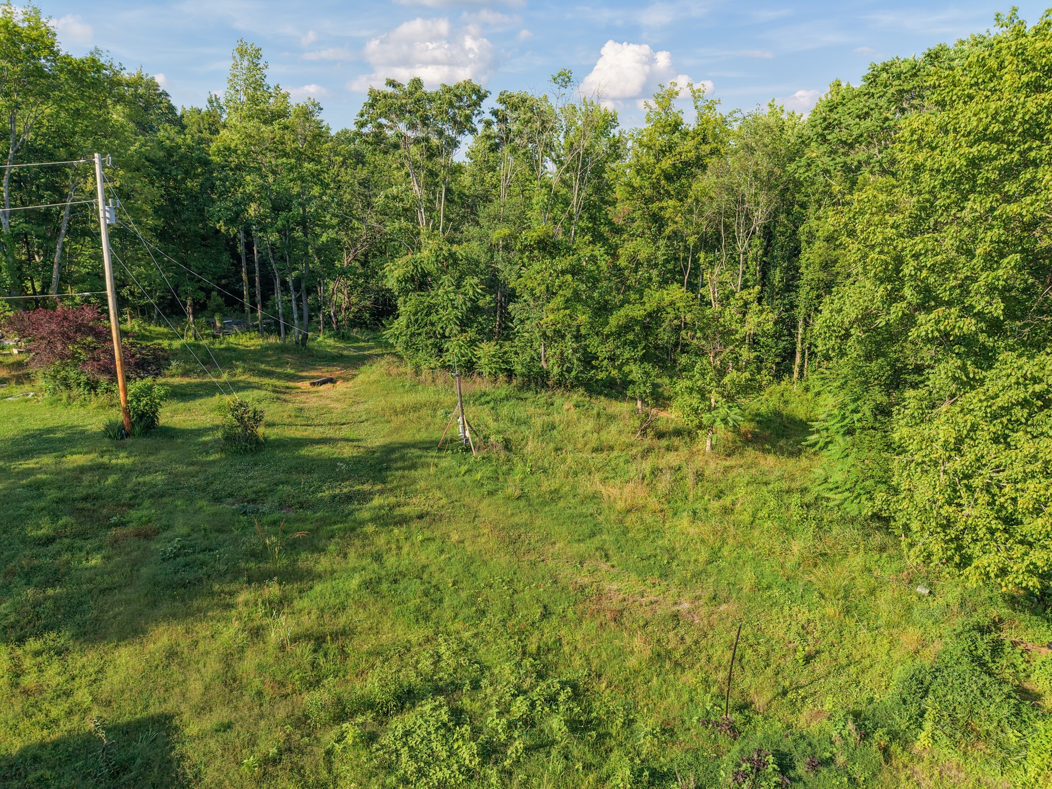 1098 Ewing Albright Rd Property Photo 6