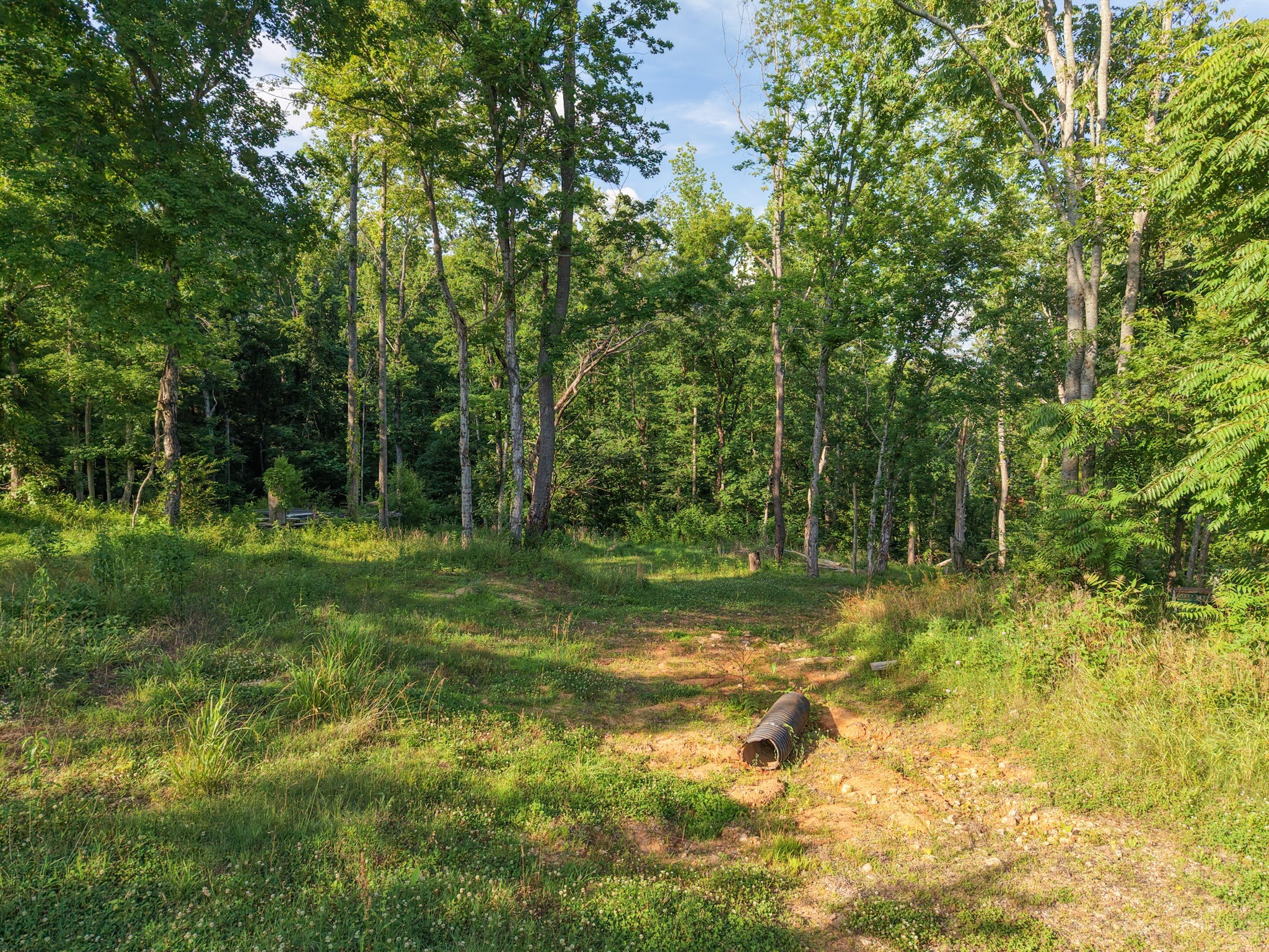 1098 Ewing Albright Rd Property Photo 8