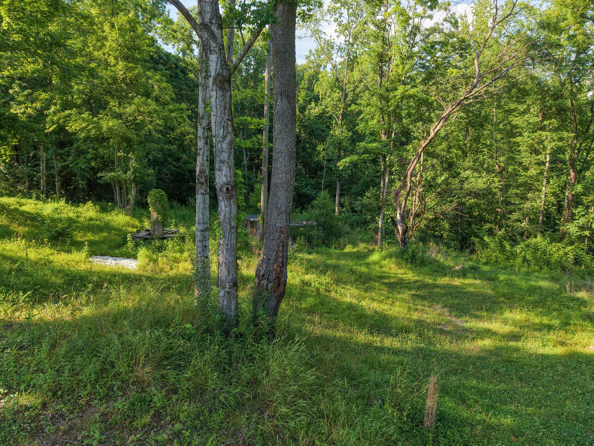 1098 Ewing Albright Rd Property Photo 9