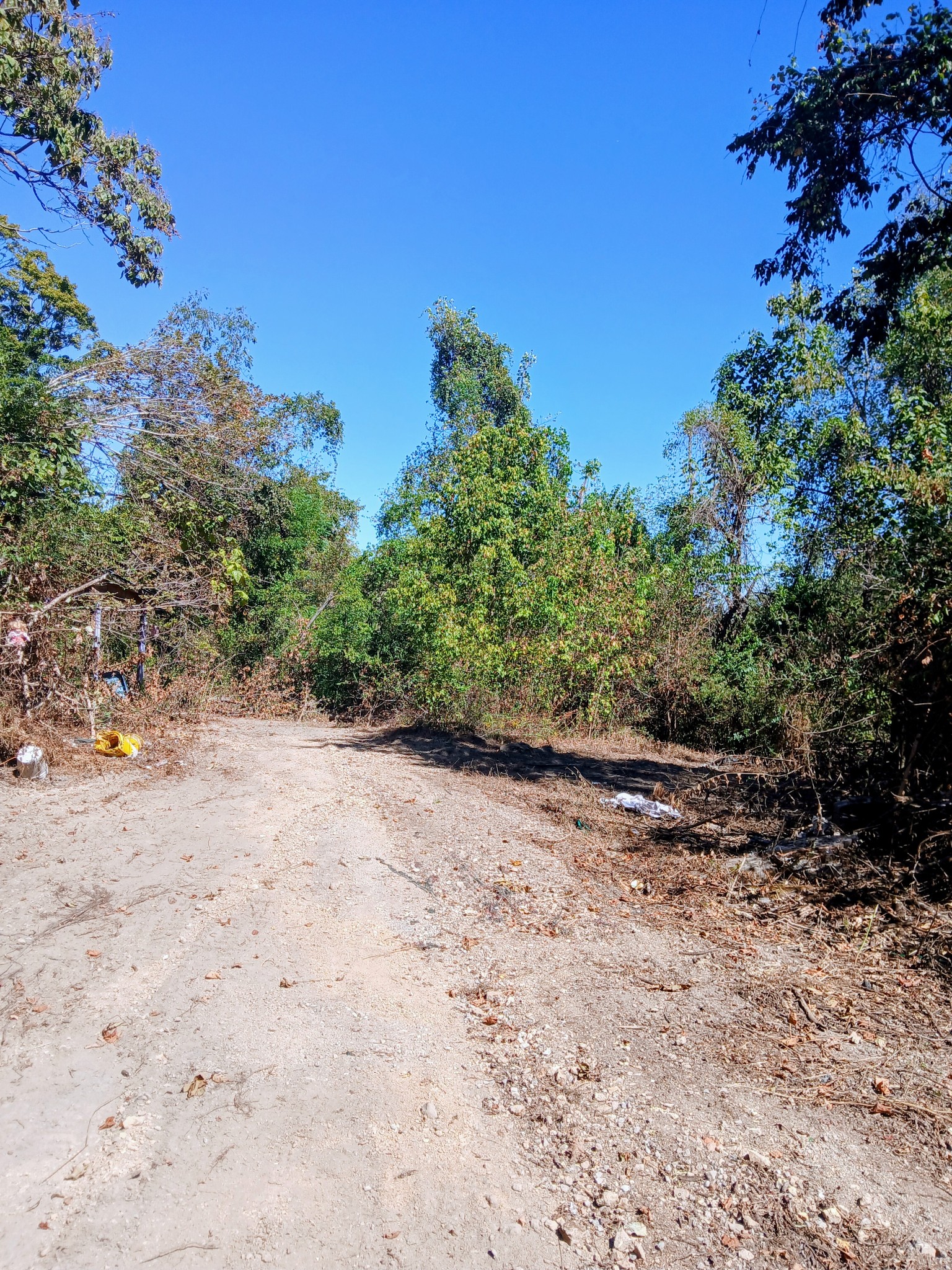 8707 Highway 100 Property Photo 1