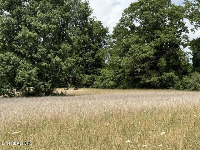 139 S Sycamore Lane Property Photo 11