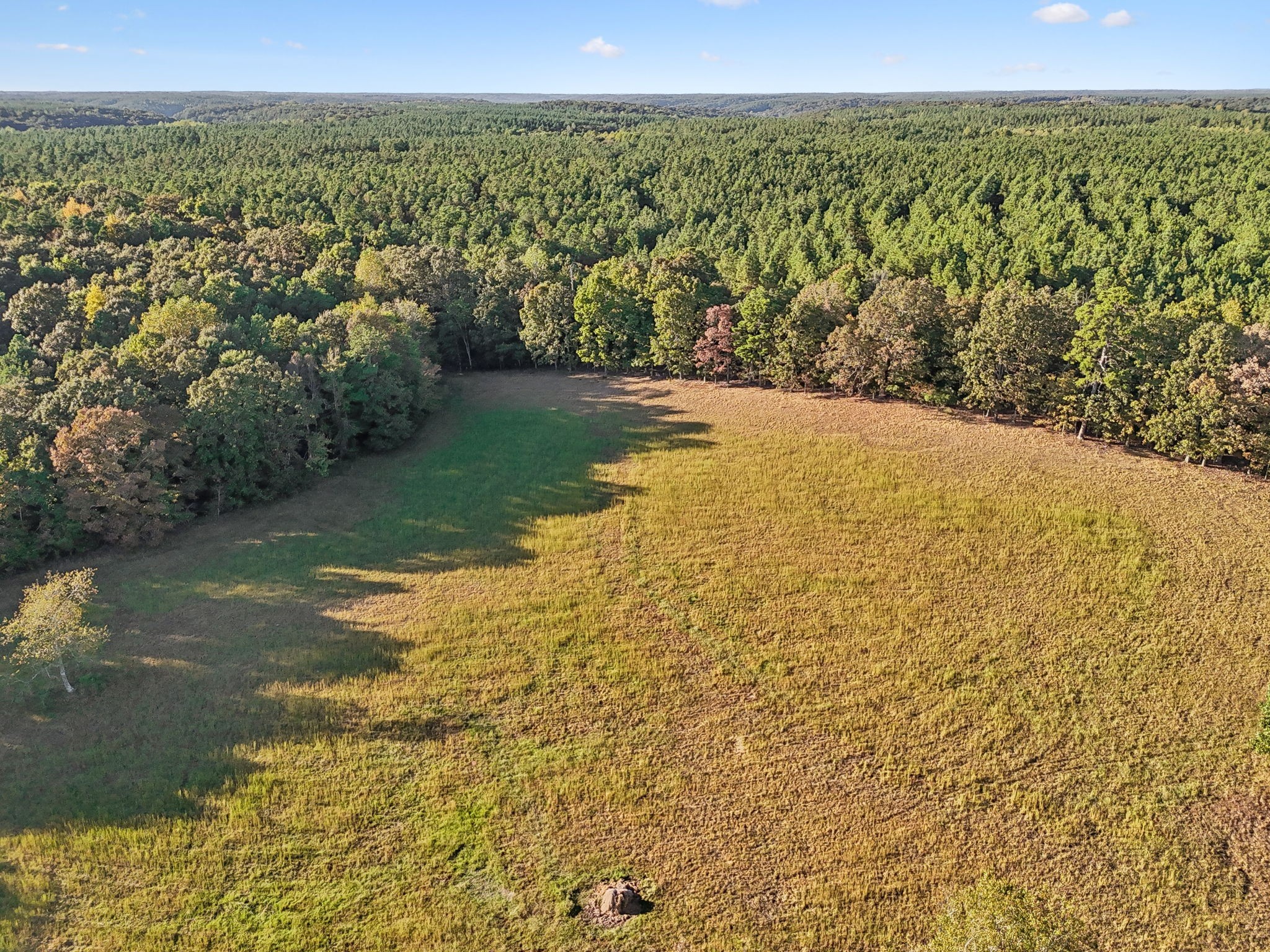 1116 Piney Rd Property Photo 5