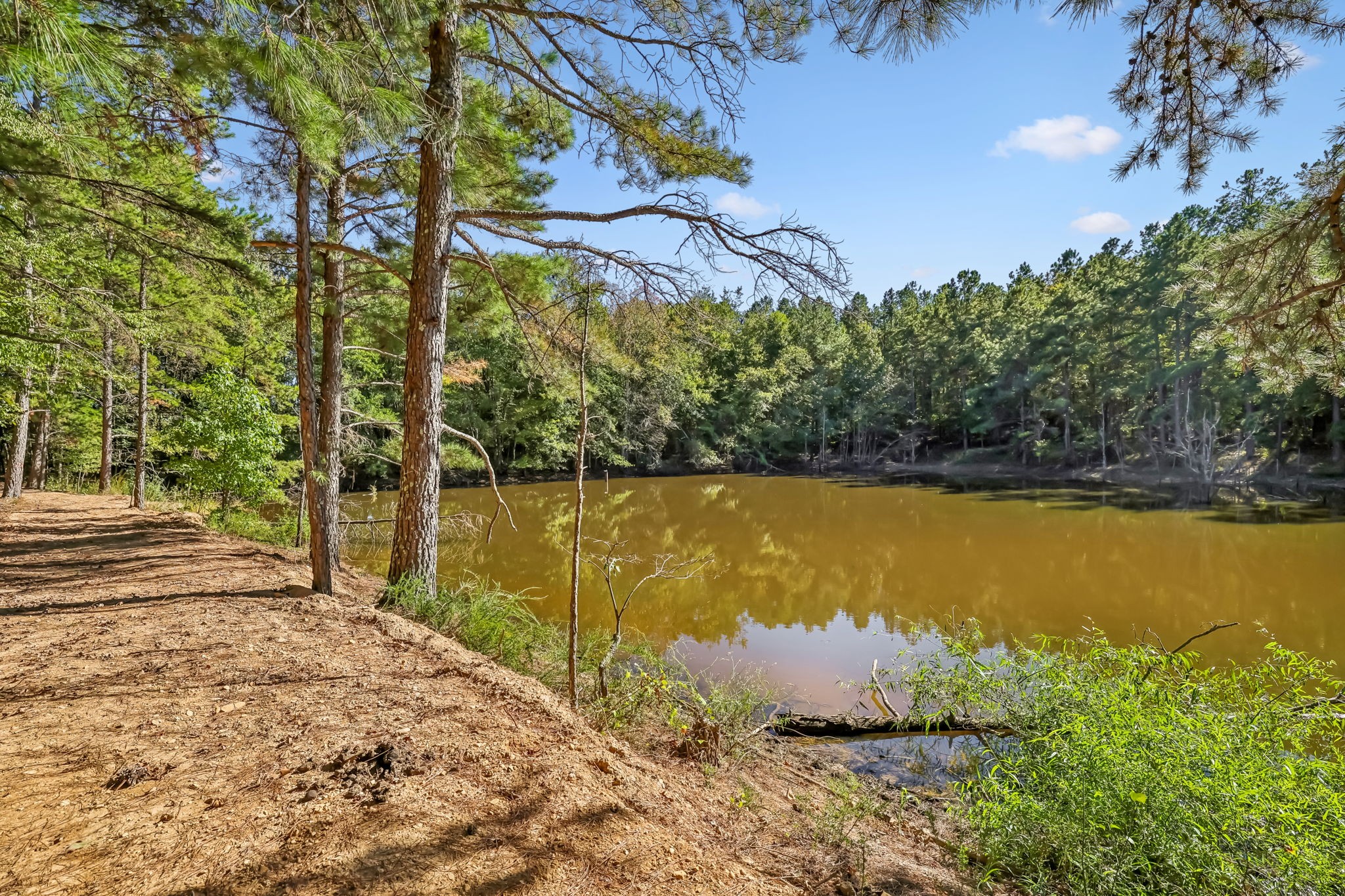 1116 Piney Rd Property Photo 16