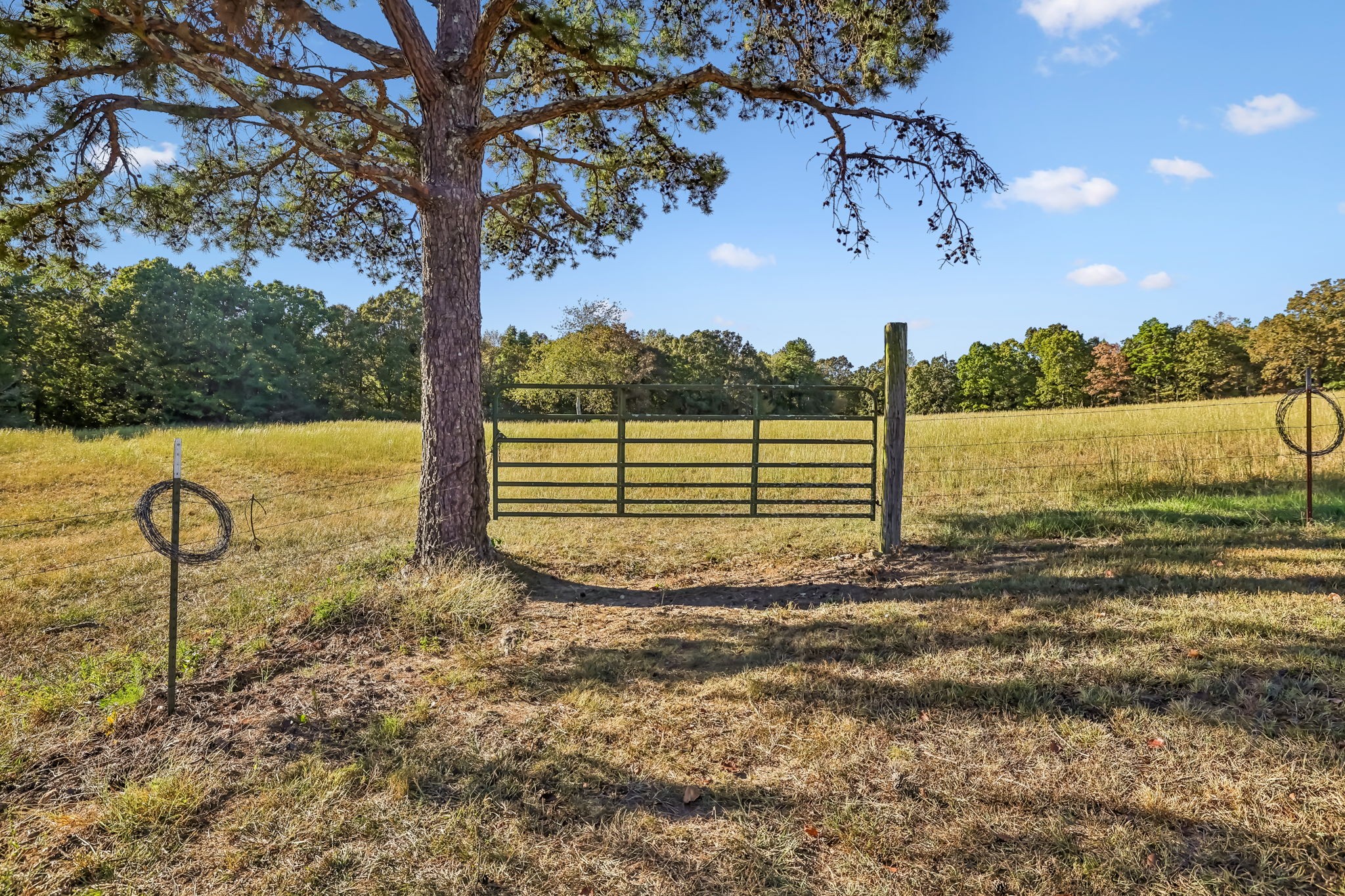 1116 Piney Rd Property Photo 23