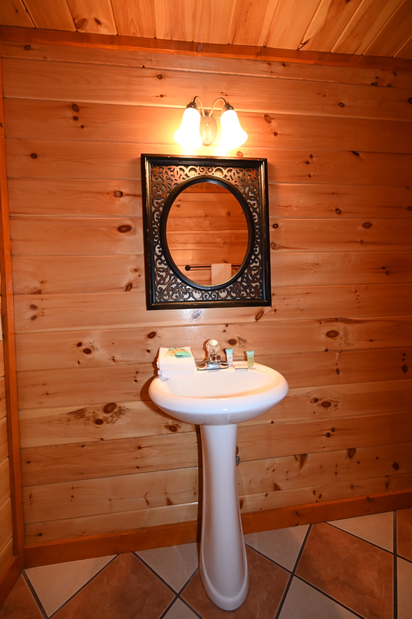 1114 Black Bear Cub Way Property Photo 8