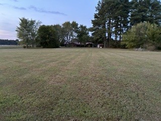 6638 Hwy 64, E Property Photo 3