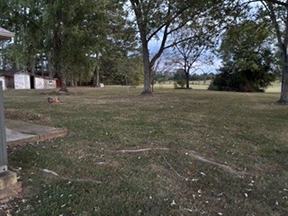 6638 Hwy 64, E Property Photo 5