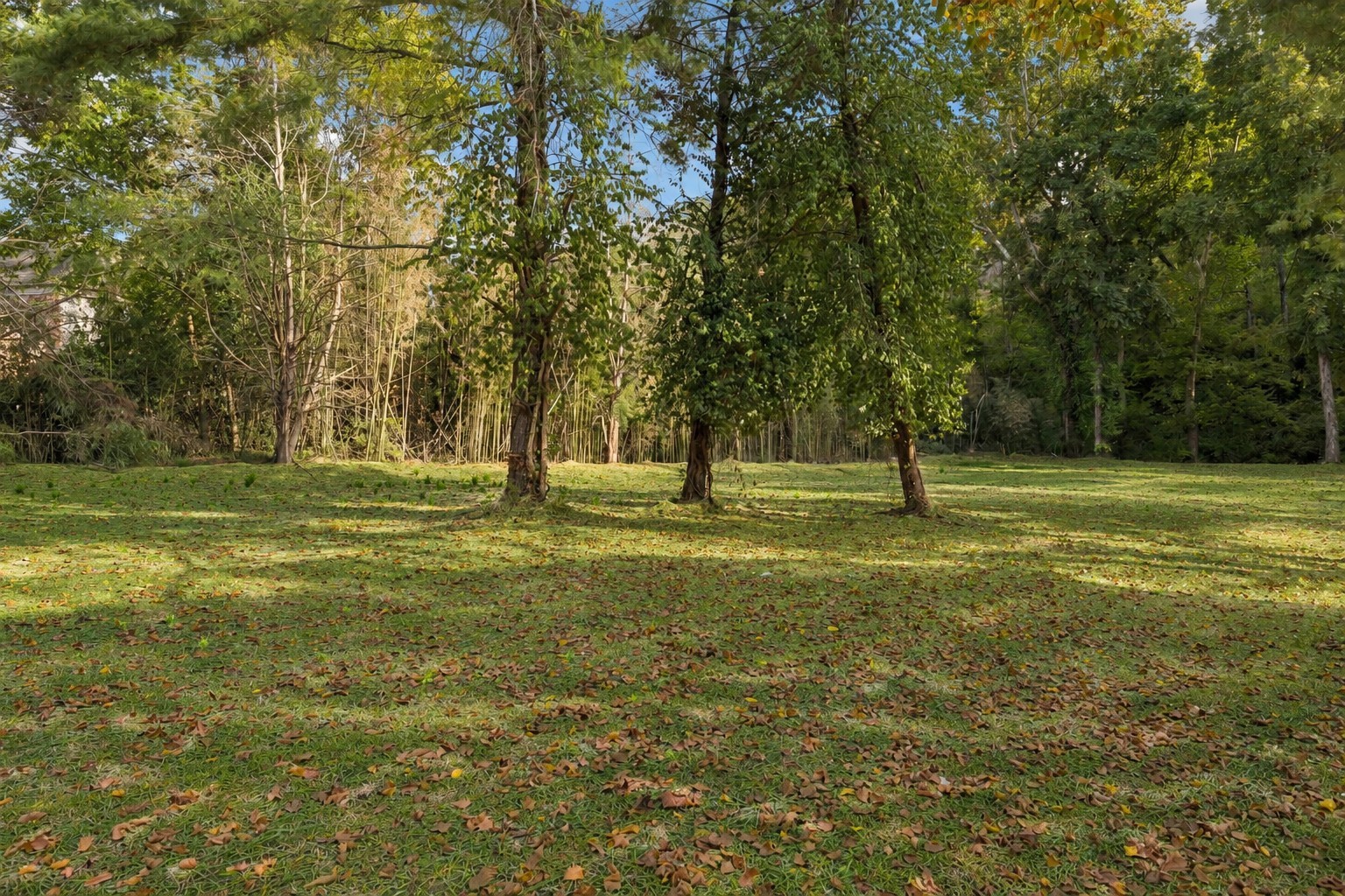 5308 General Forrest Ct Property Photo 45