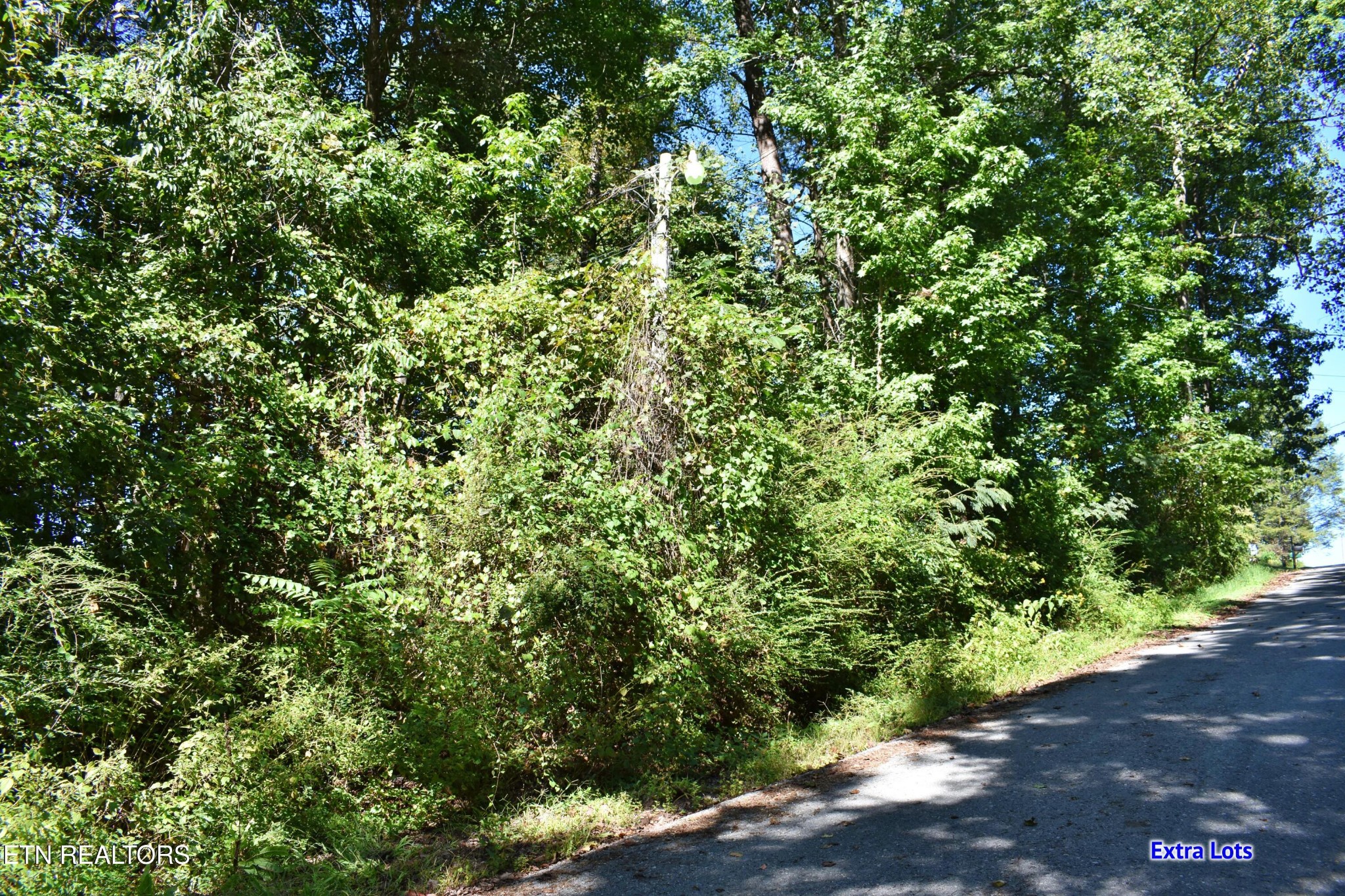 211 Dabbs Drive Property Photo 32