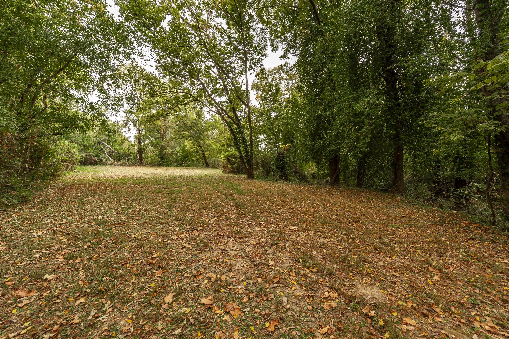7902 Highway 100 Property Photo 28