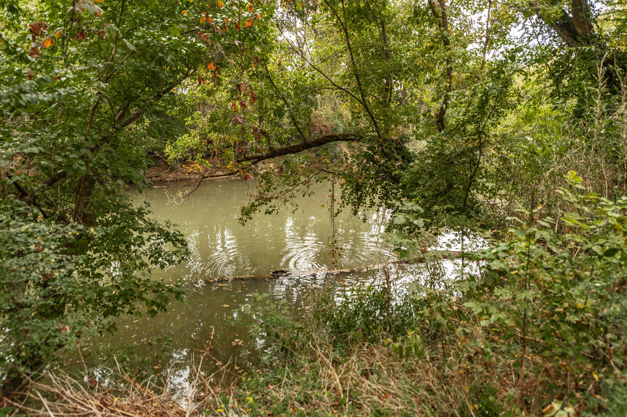 7902 Highway 100 Property Photo 35