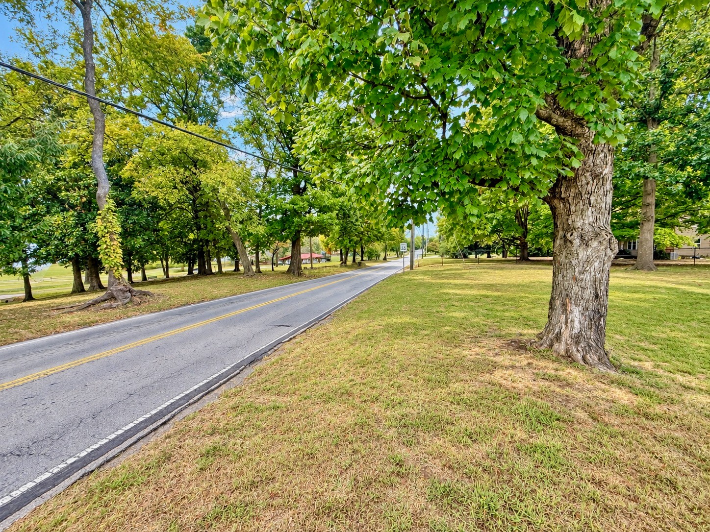 4005 Dodson Chapel Rd Property Photo 46