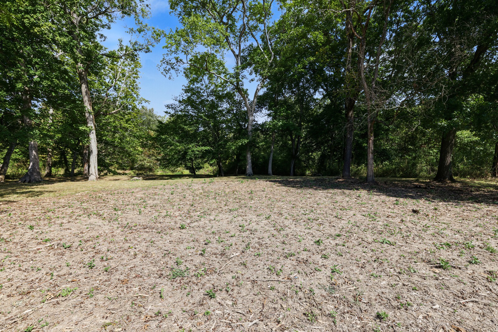 0 N Olivia Ln Property Photo 10