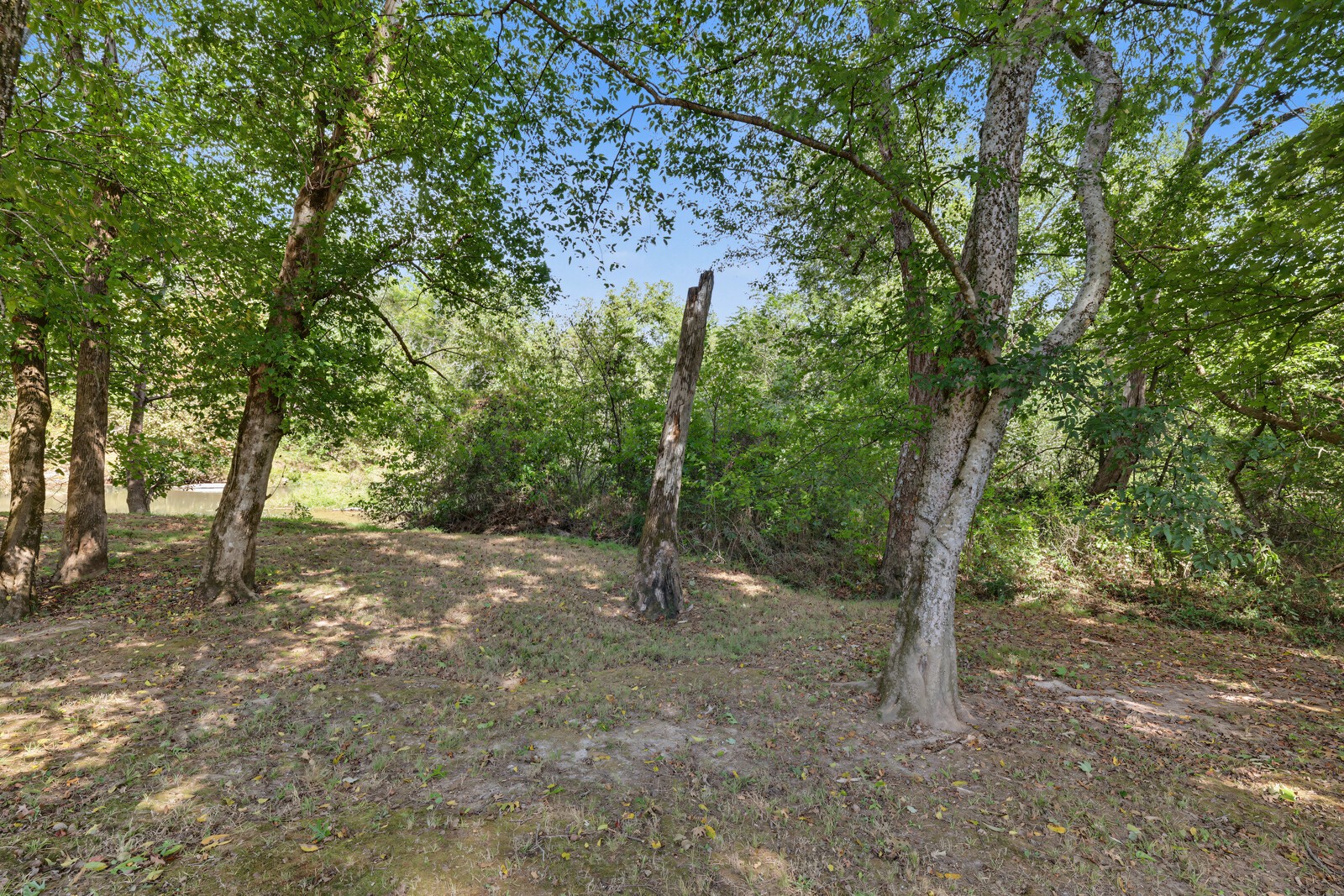 0 N Olivia Ln Property Photo 12