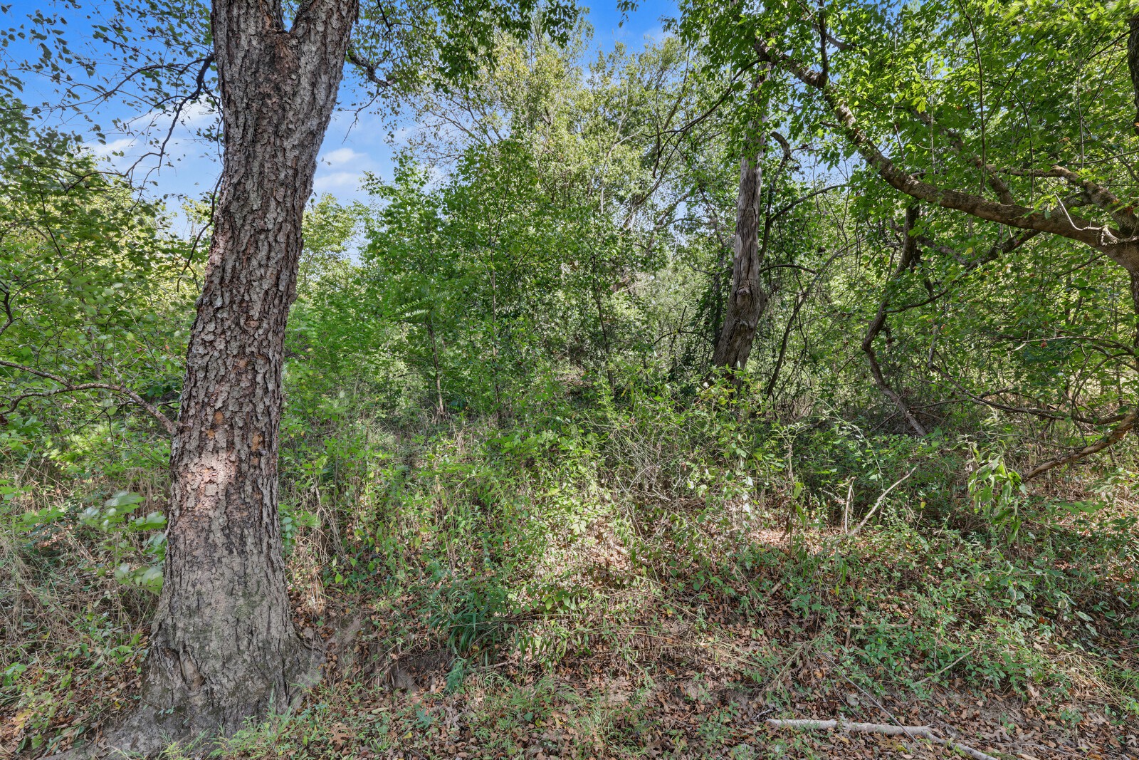 0 N Olivia Ln Property Photo 14