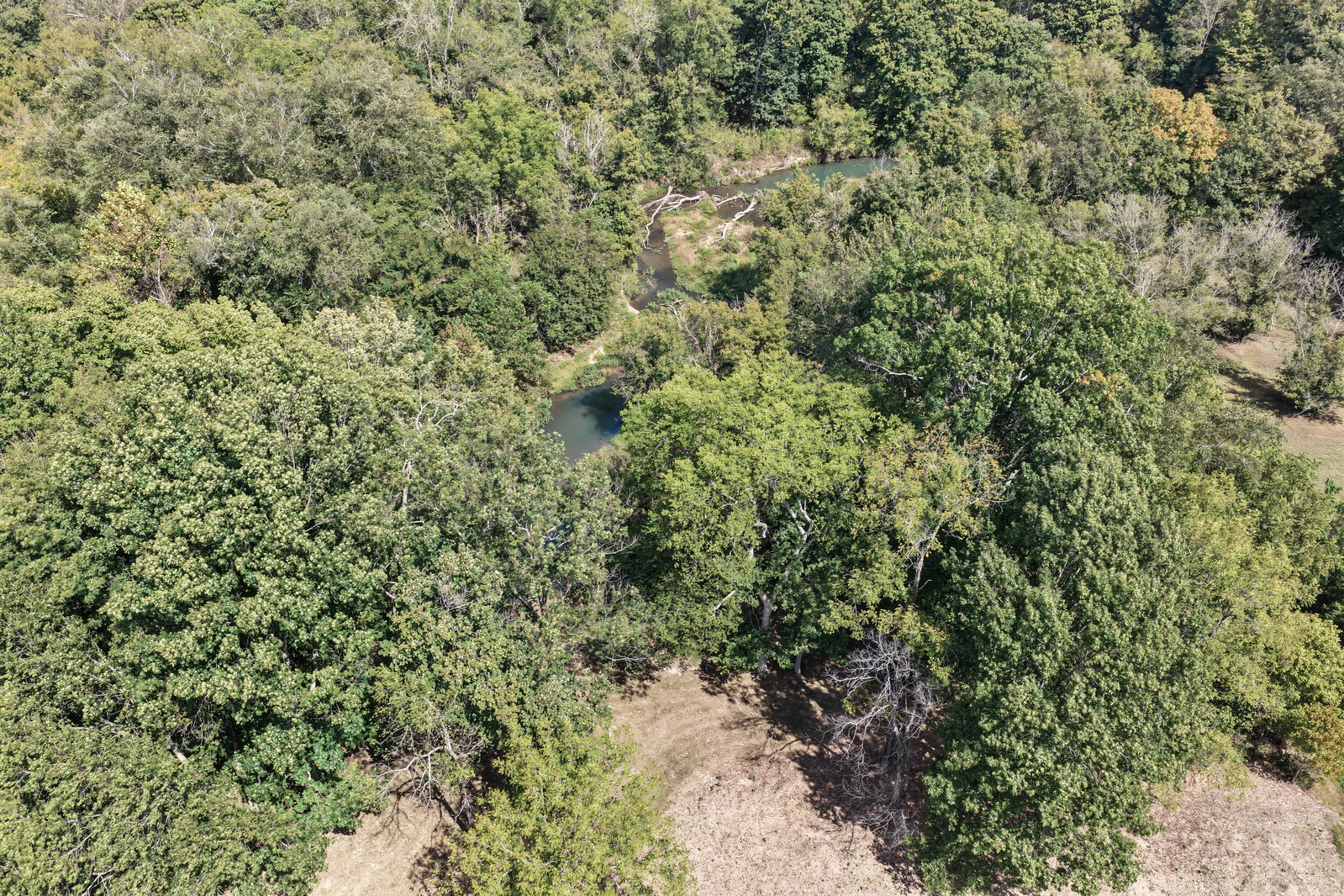 0 N Olivia Ln Property Photo 18