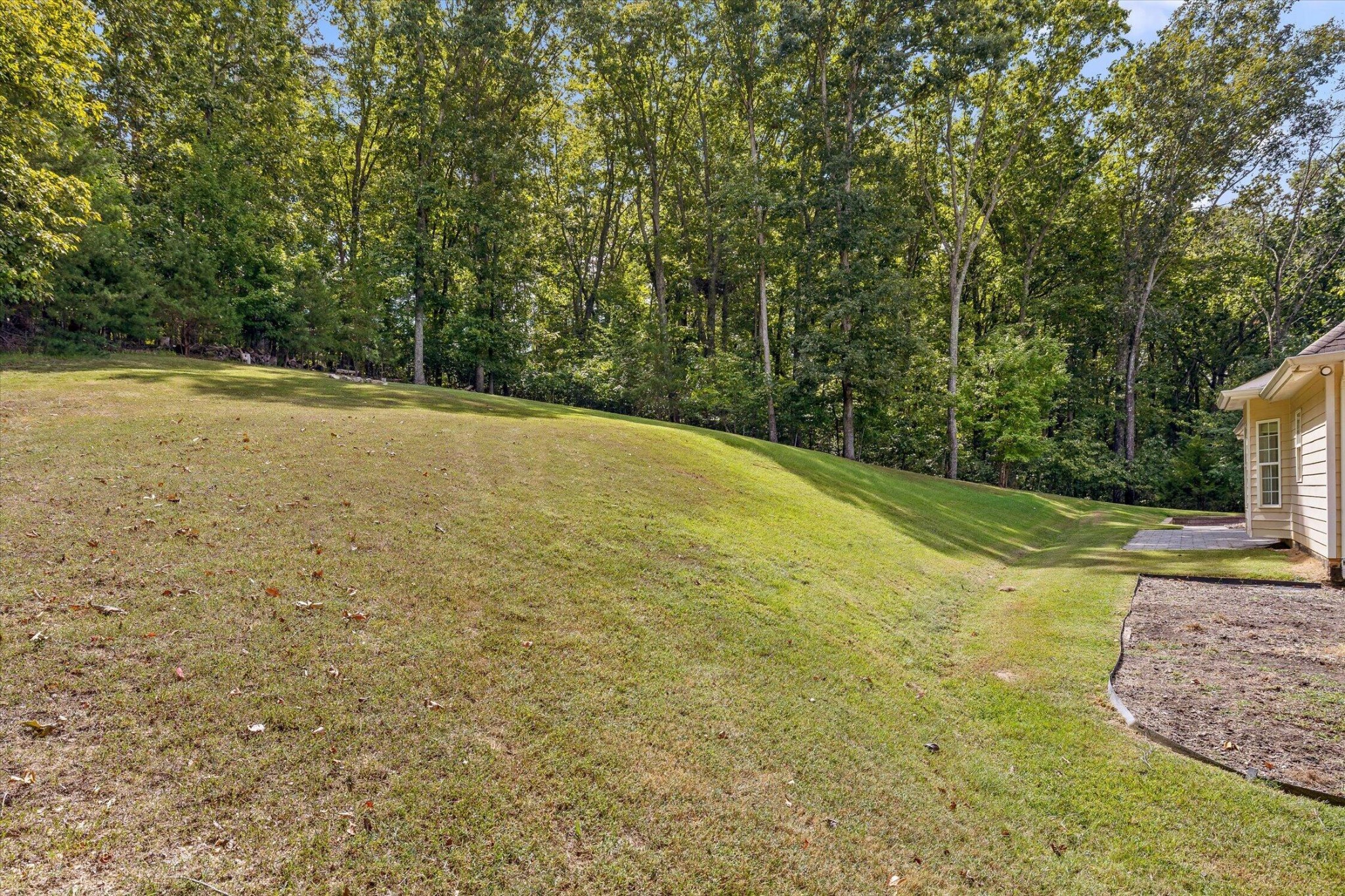9768 Caseview Drive Property Photo 74