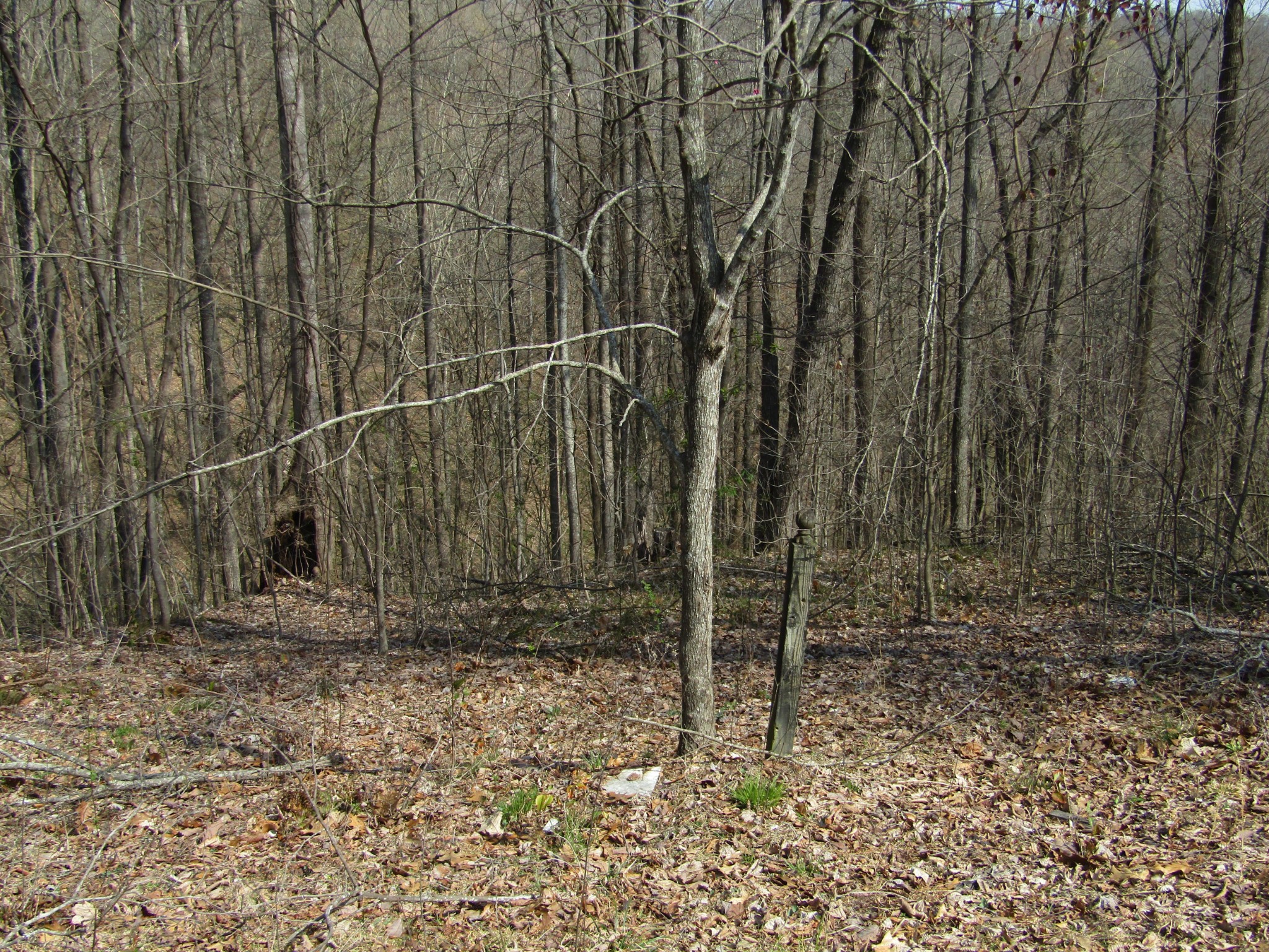0 Hunters Landing Ln Property Photo 1