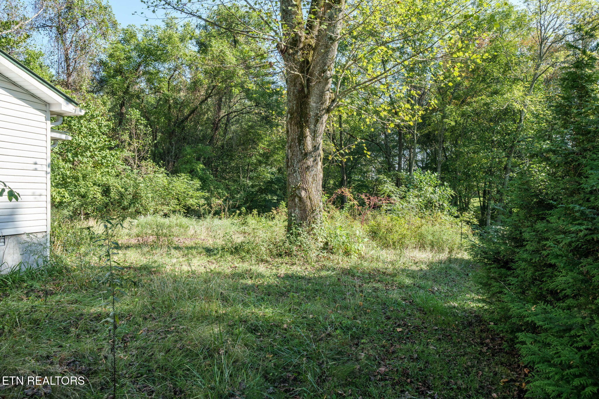 742 Highway 68 Property Photo 25