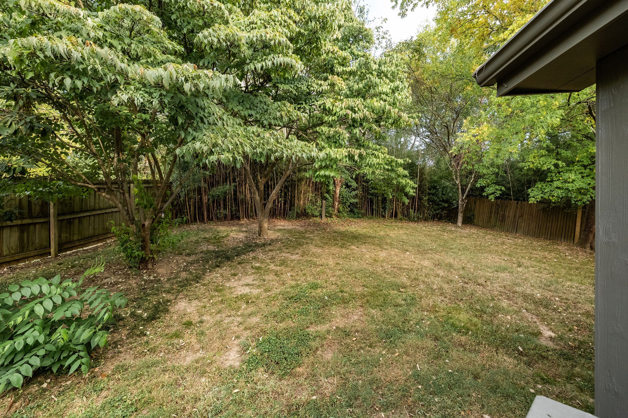 121 Needles Ct Property Photo 4