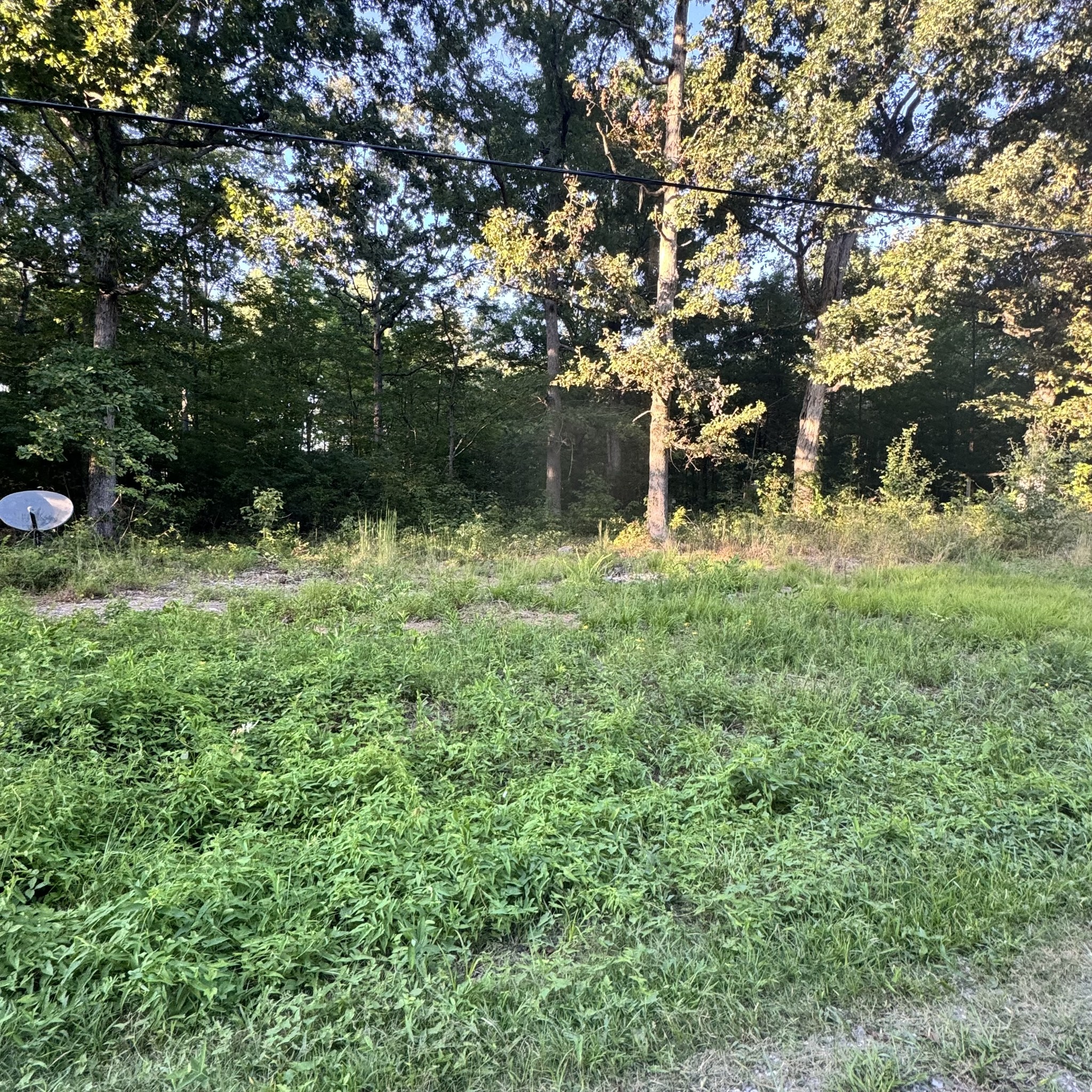 0 Glade Trl Property Photo 1