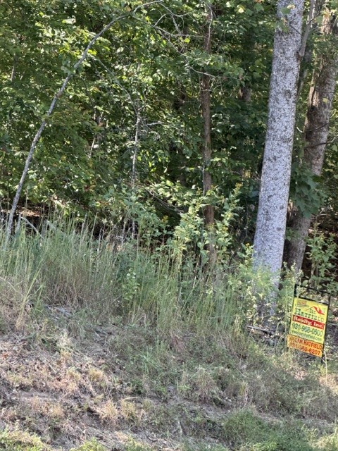 0 Hopkins Lane Property Photo 1