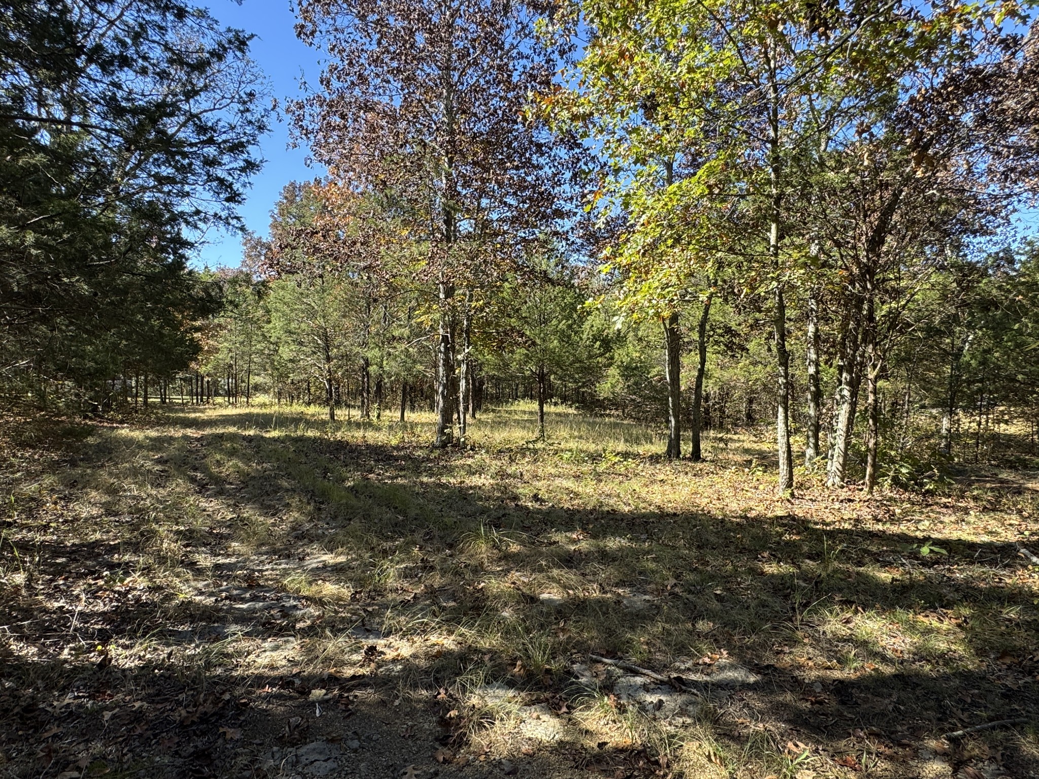 475 Lindsley Rd Property Photo 14
