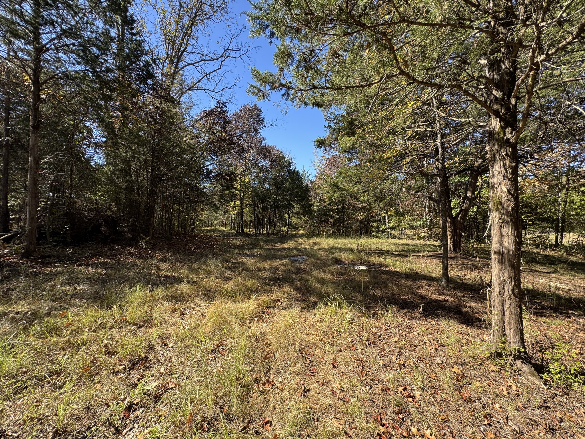475 Lindsley Rd Property Photo 16