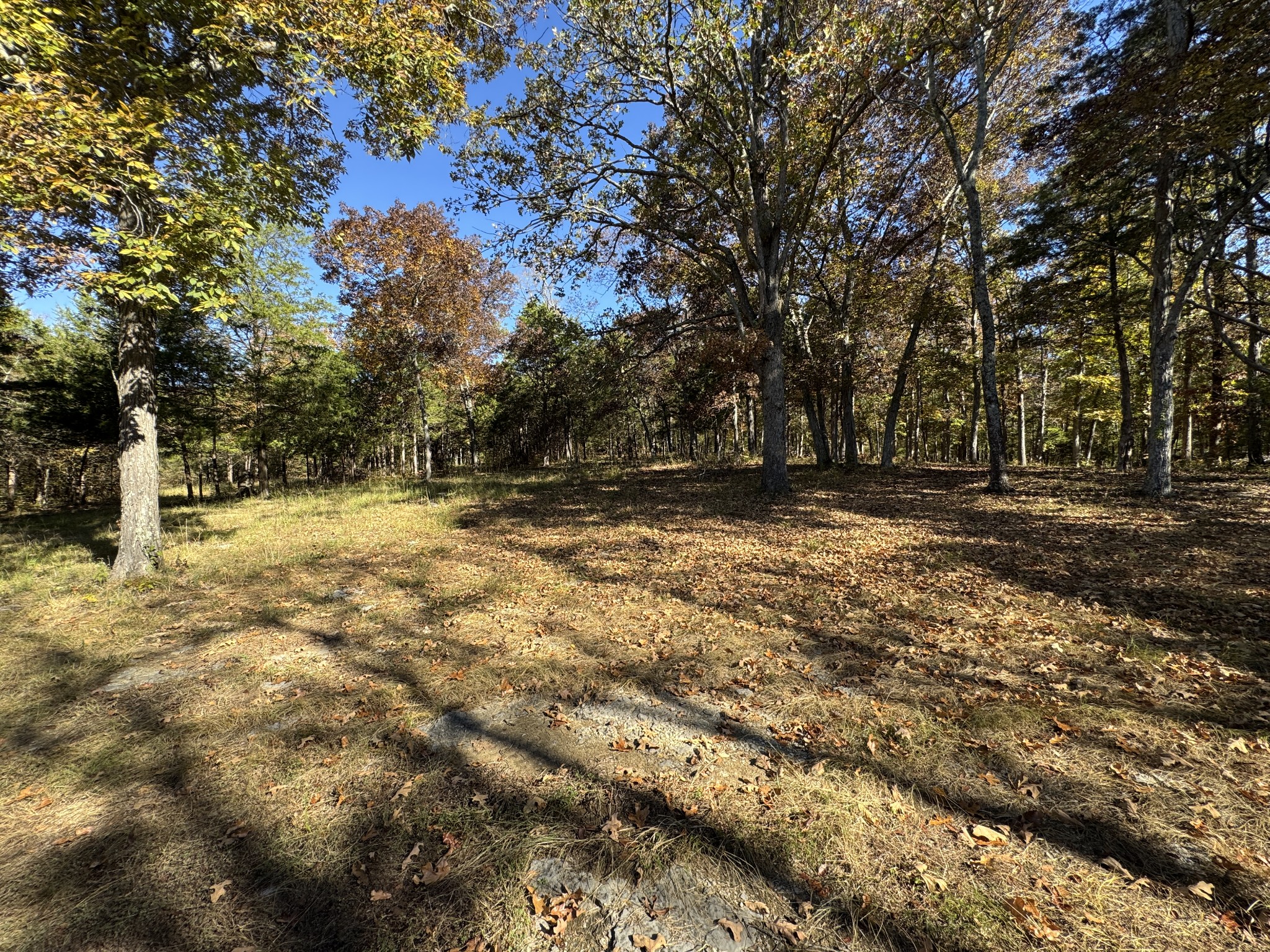 475 Lindsley Rd Property Photo 18