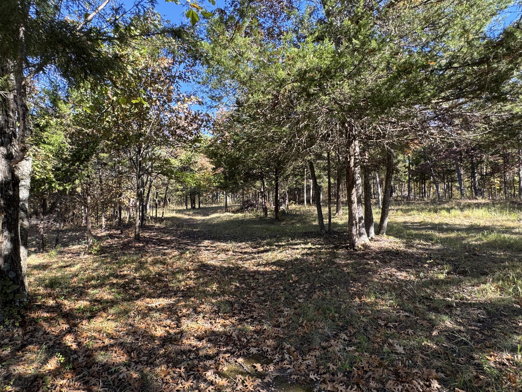 475 Lindsley Rd Property Photo 19