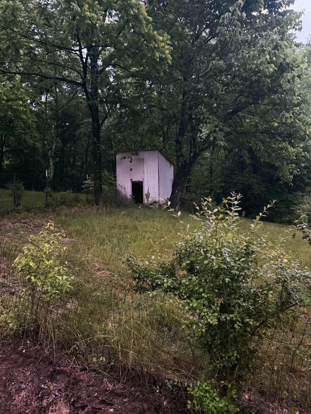 10030 Coles Ferry Pike Property Photo 31