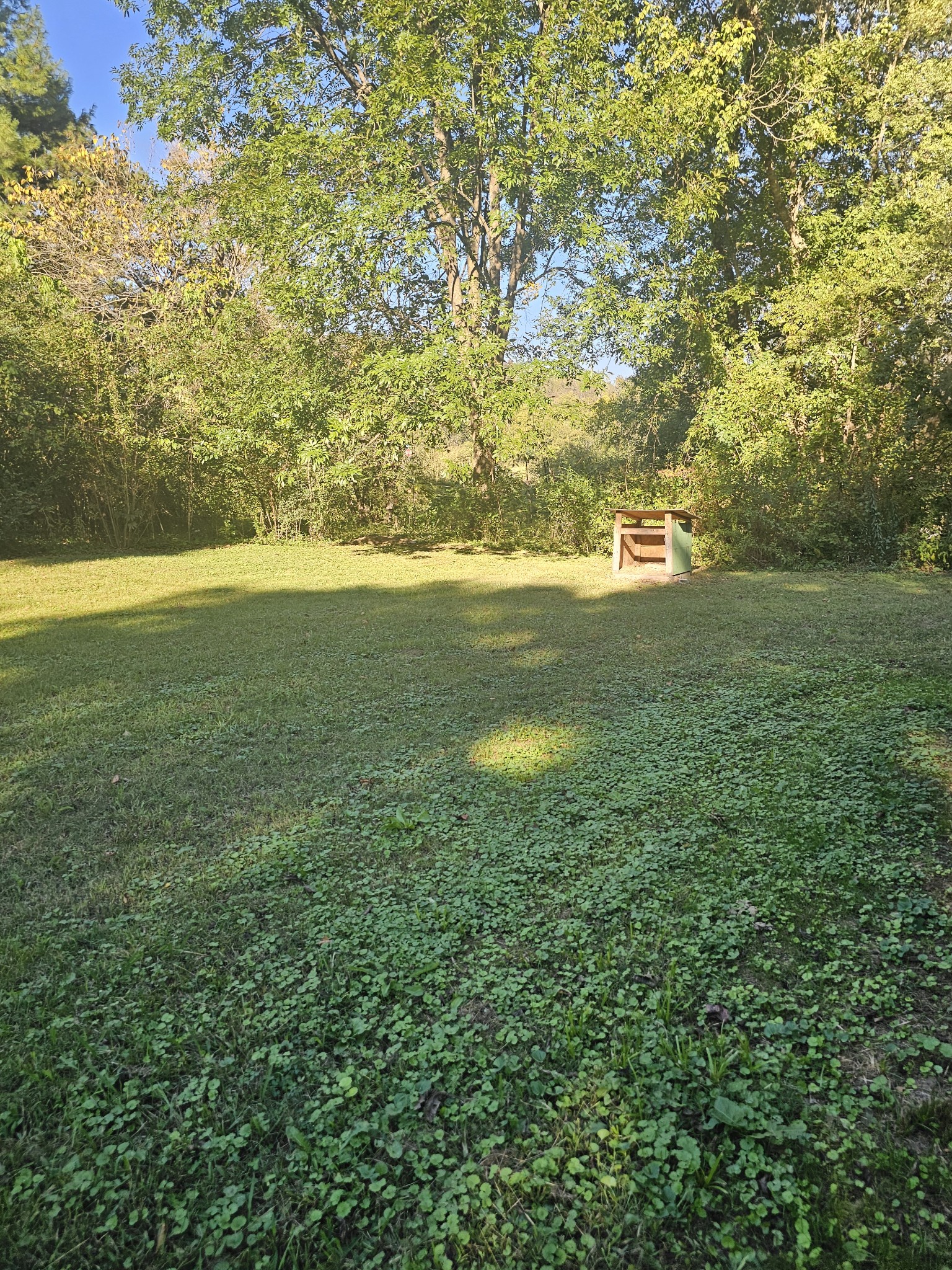 220 Oak St Property Photo 9
