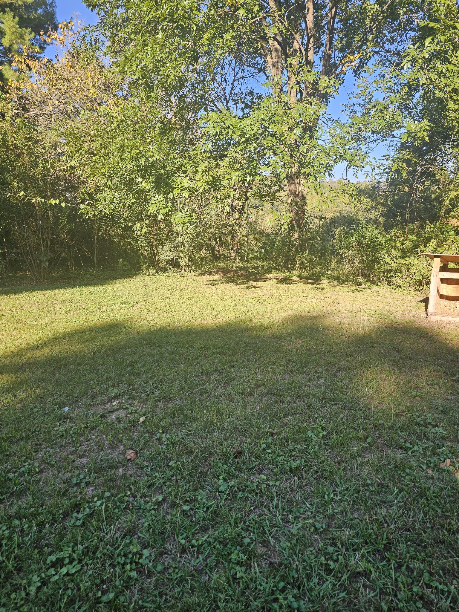 220 Oak St Property Photo 11