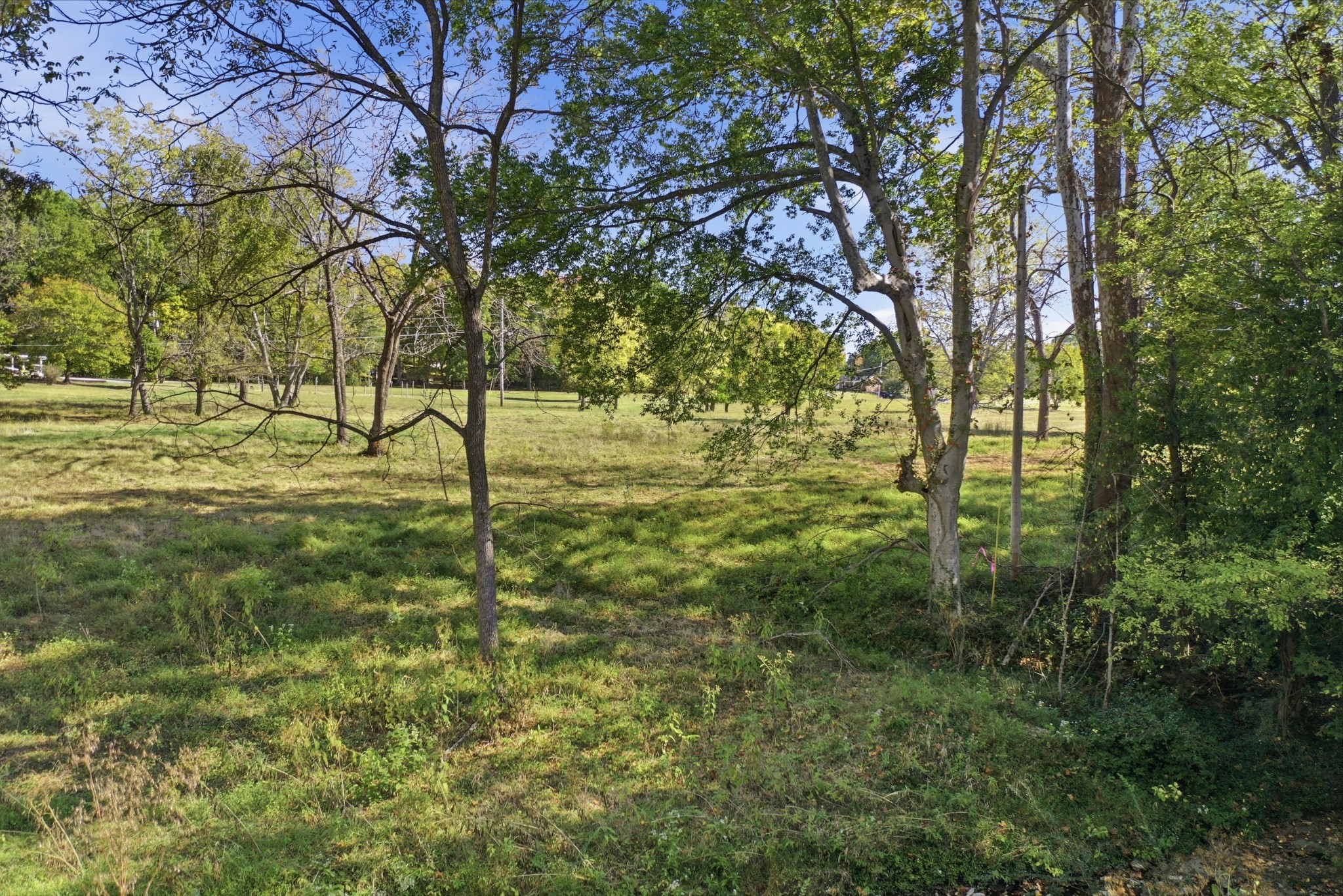 5562 Stacy Springs Rd Property Photo 1