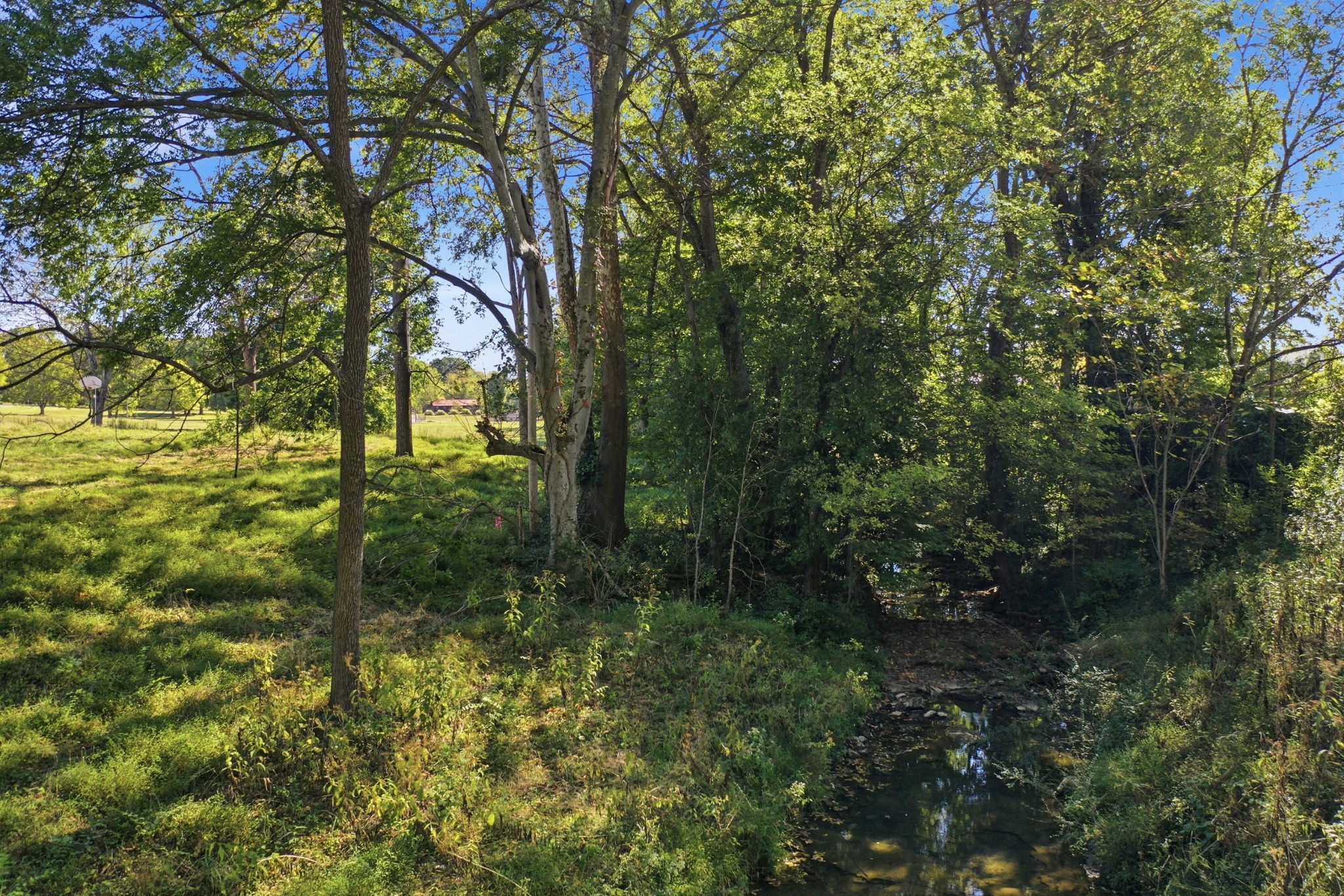 5562 Stacy Springs Rd Property Photo 10