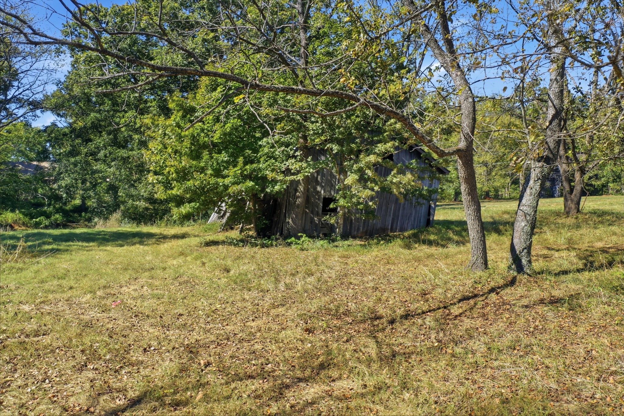 5562 Stacy Springs Rd Property Photo 11