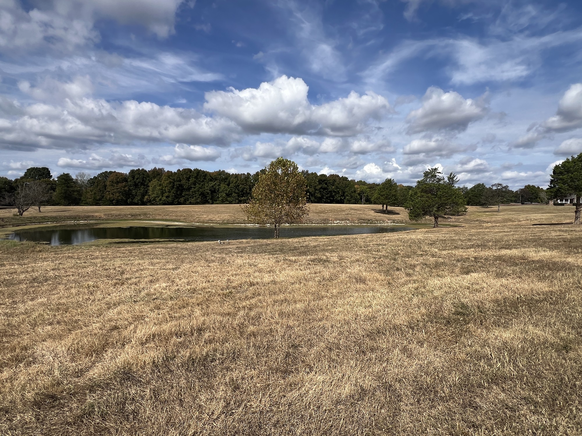 3026 Highway 270 Property Photo 39