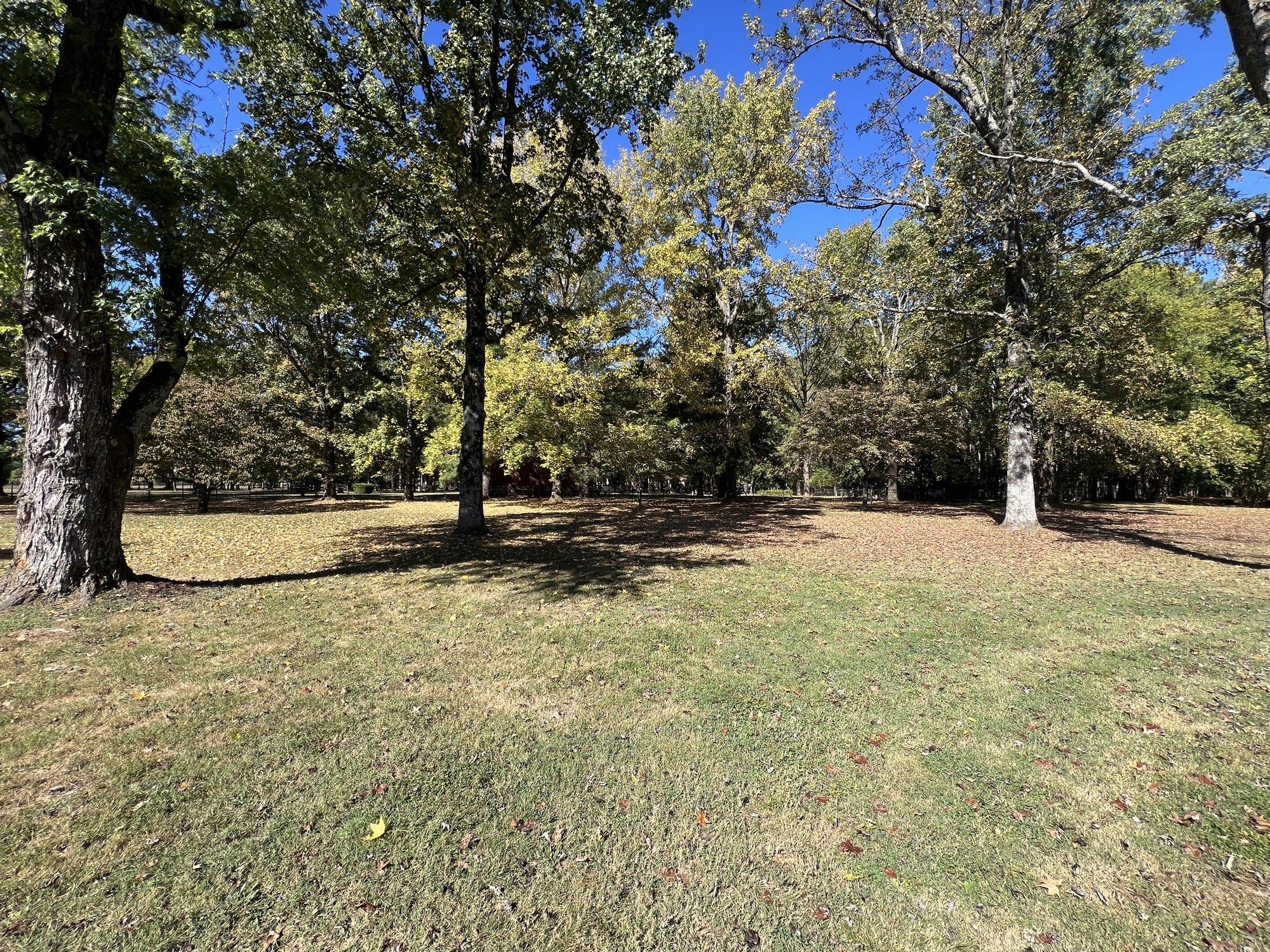 4331 Lebanon Pike Property Photo 14