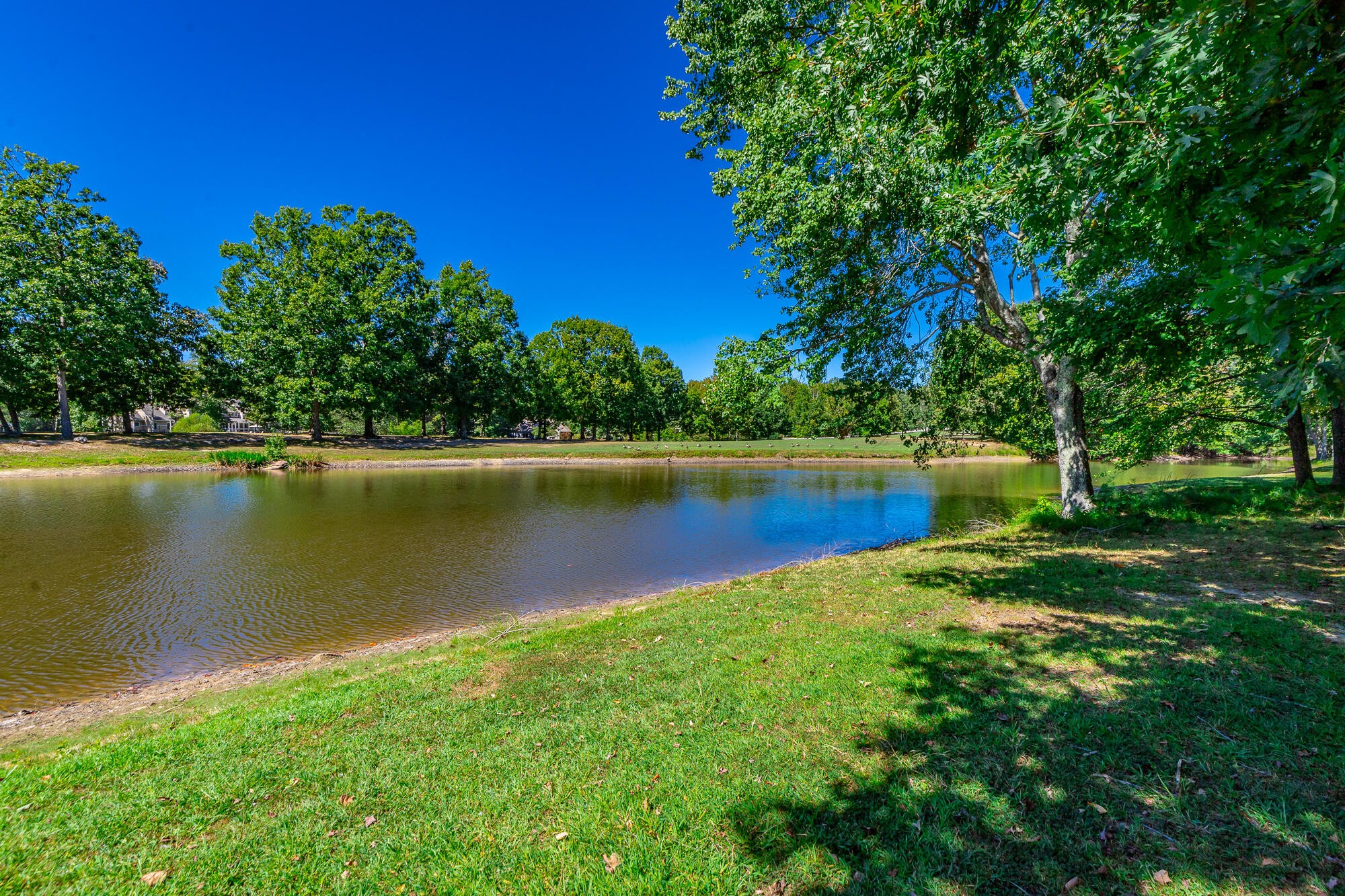 9013 Brow Lake Road Property Photo 4