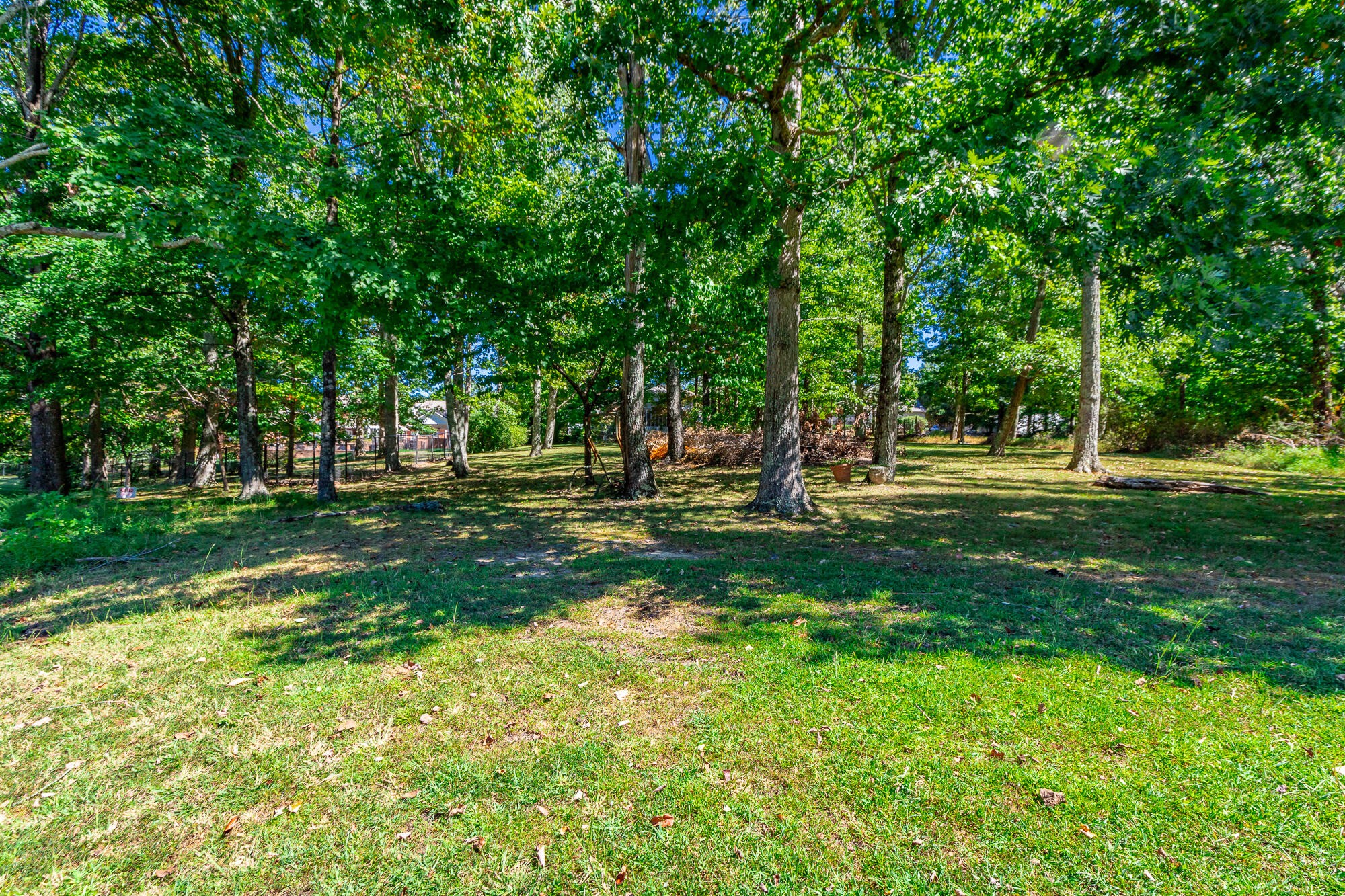 9013 Brow Lake Road Property Photo 68
