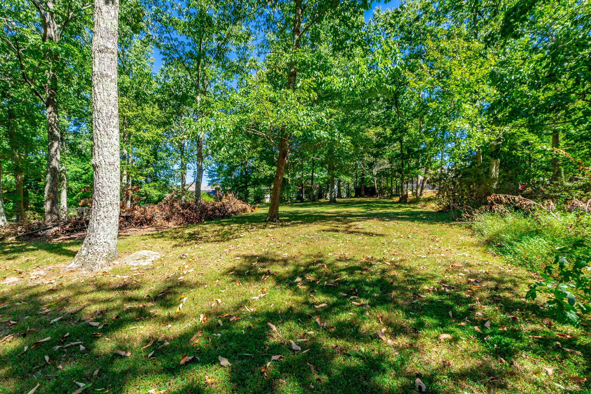 9013 Brow Lake Road Property Photo 69